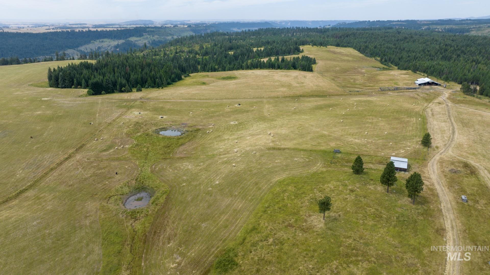 1605 Jasmine Ln, Parcel 7, Weippe, Idaho 83553, Land For Sale, Price $180,000, 98885627