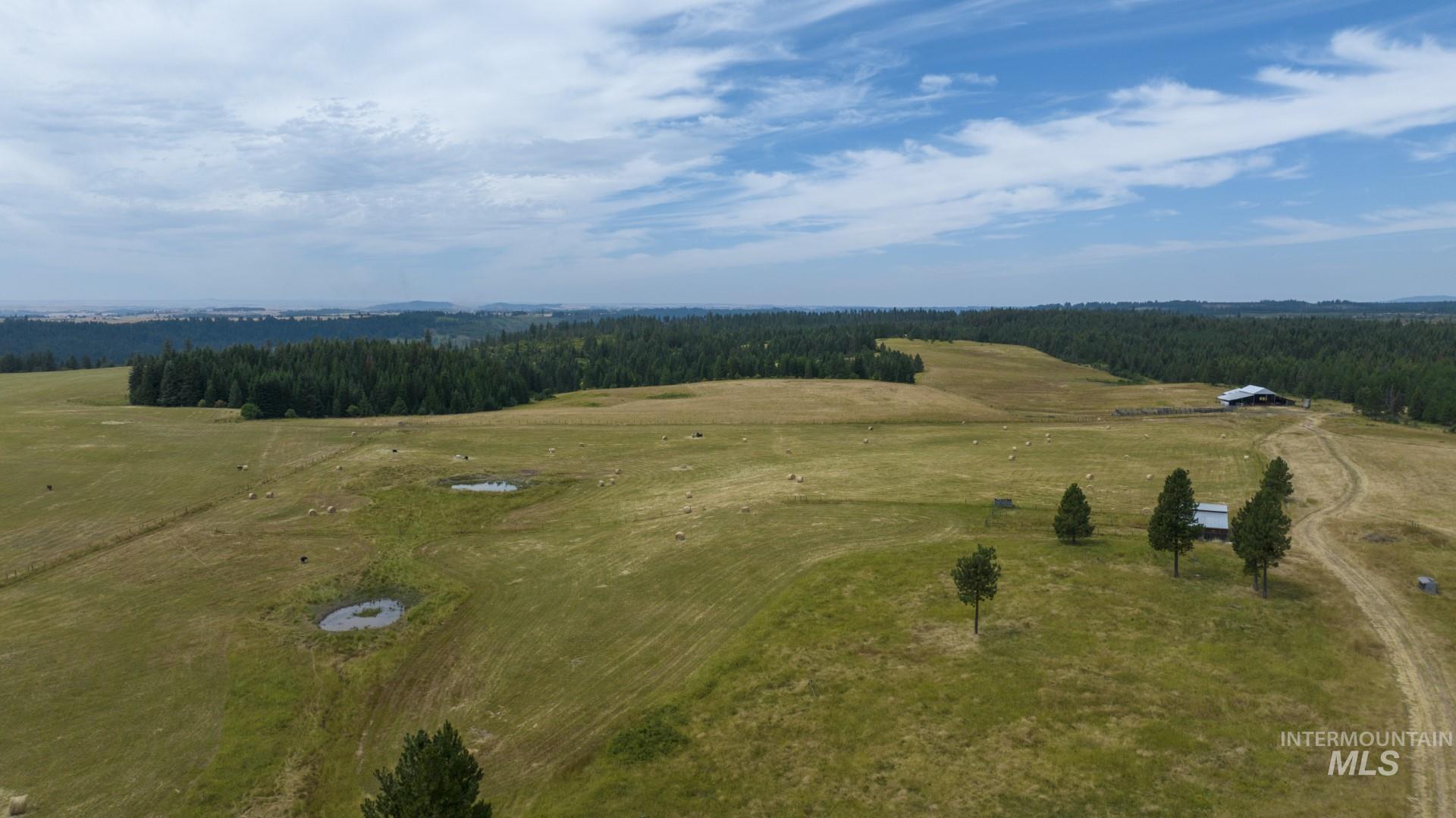 1605 Jasmine Ln, Parcel 7, Weippe, Idaho 83553, Land For Sale, Price $180,000, 98885627