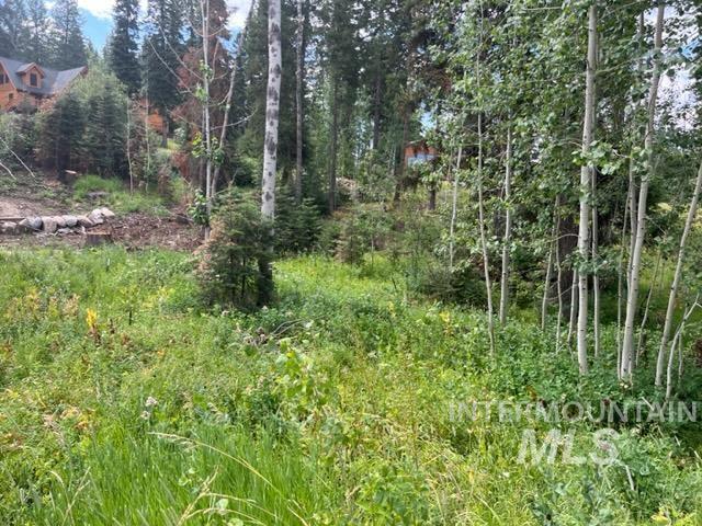 1551 Dragonfly Loop, McCall, Idaho 83638, Land For Sale, Price $159,000,MLS 98886342