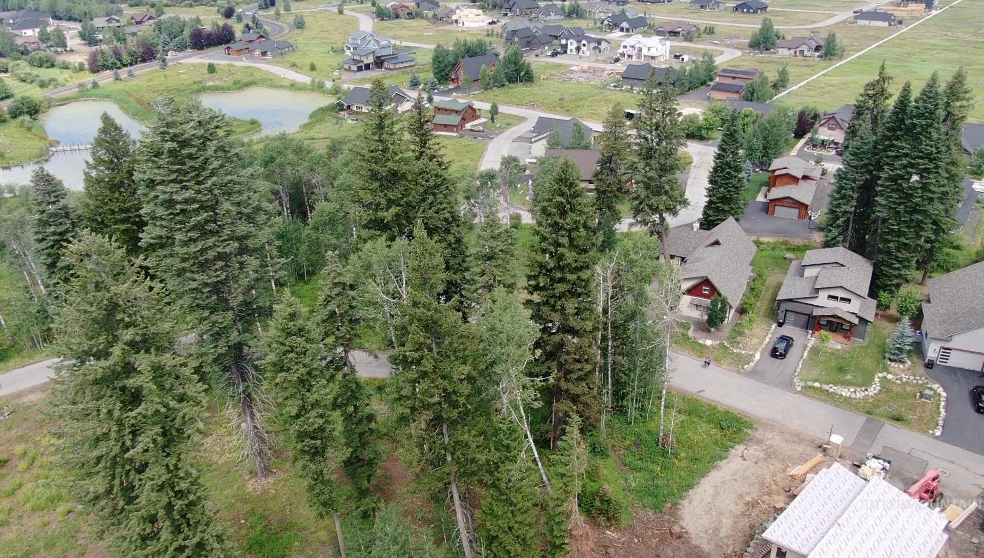 1551 Dragonfly Loop, McCall, Idaho 83638, Land For Sale, Price $159,000,MLS 98886342