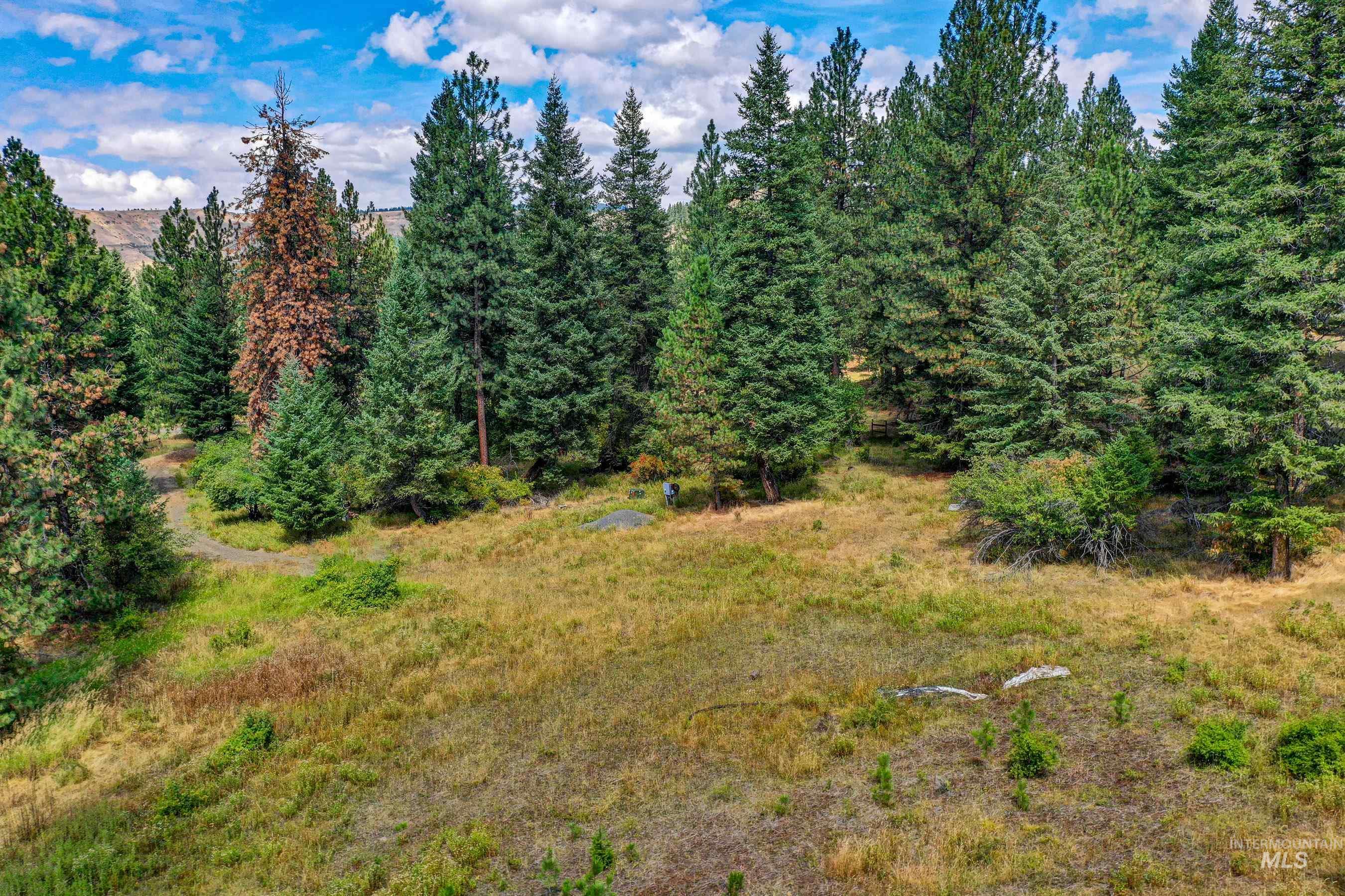 142 Wagon Wheel Lane, White Bird, Idaho 83554, Land For Sale, Price $275,000, 98886677