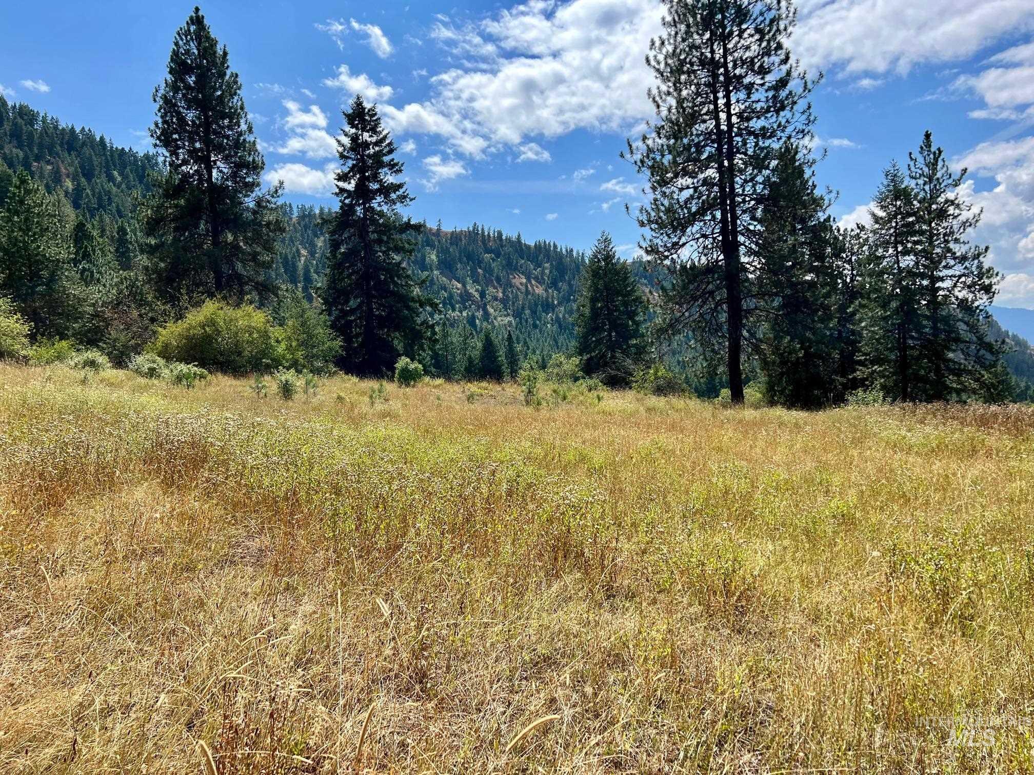 142 Wagon Wheel Lane, White Bird, Idaho 83554, Land For Sale, Price $275,000, 98886677