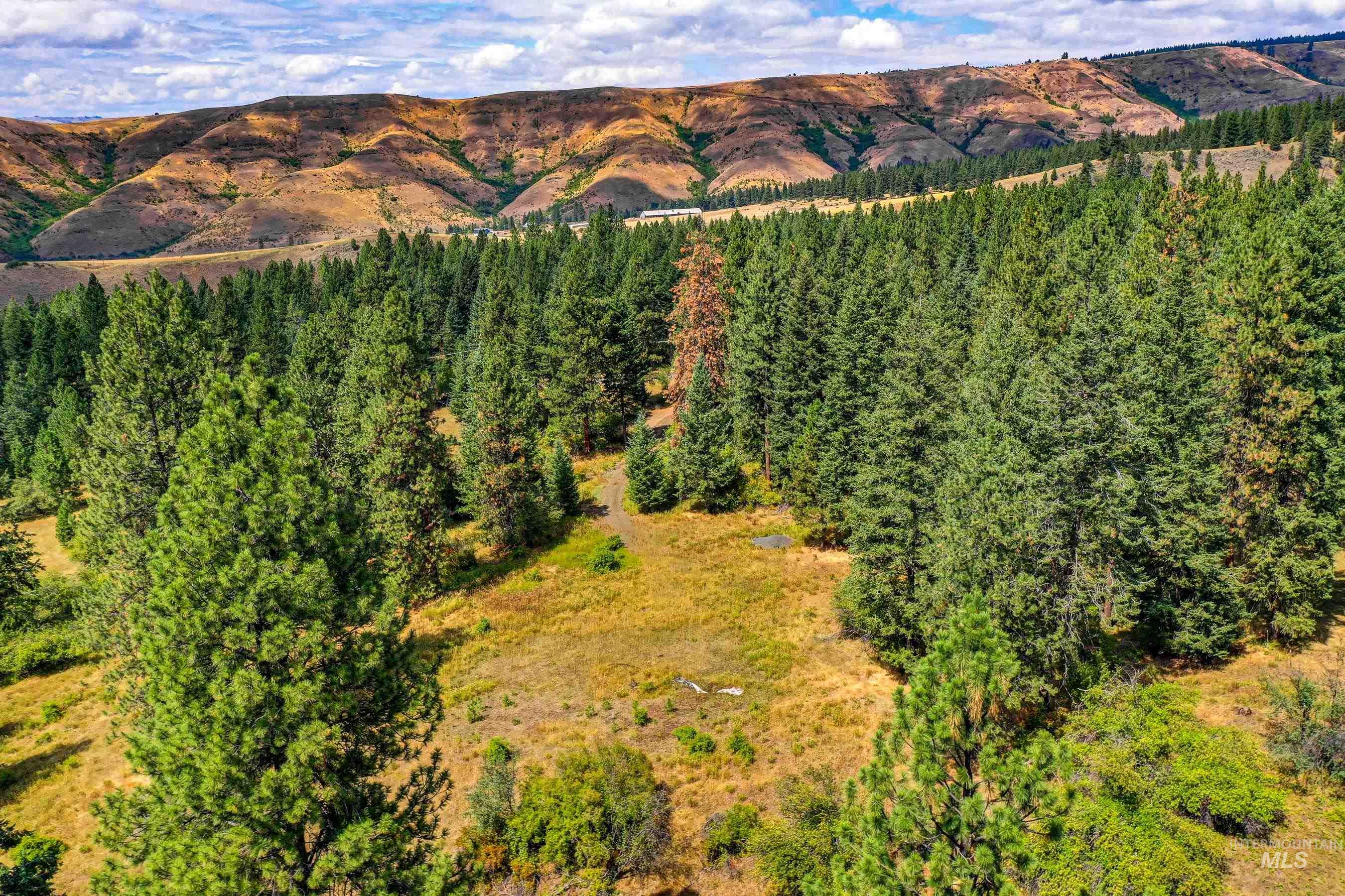 142 Wagon Wheel Lane, White Bird, Idaho 83554, Land For Sale, Price $275,000, 98886677