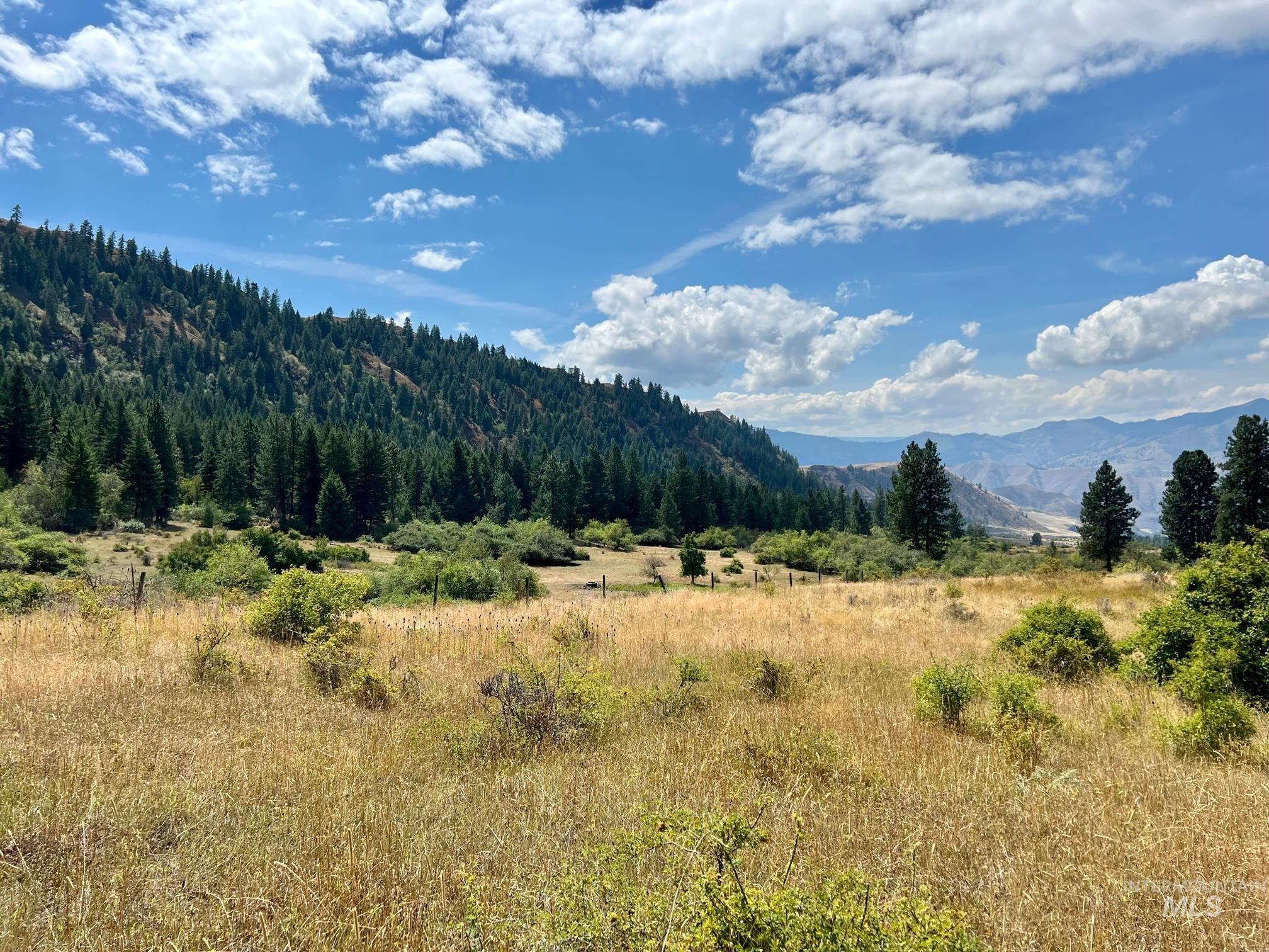 142 Wagon Wheel Lane, White Bird, Idaho 83554, Land For Sale, Price $275,000, 98886677