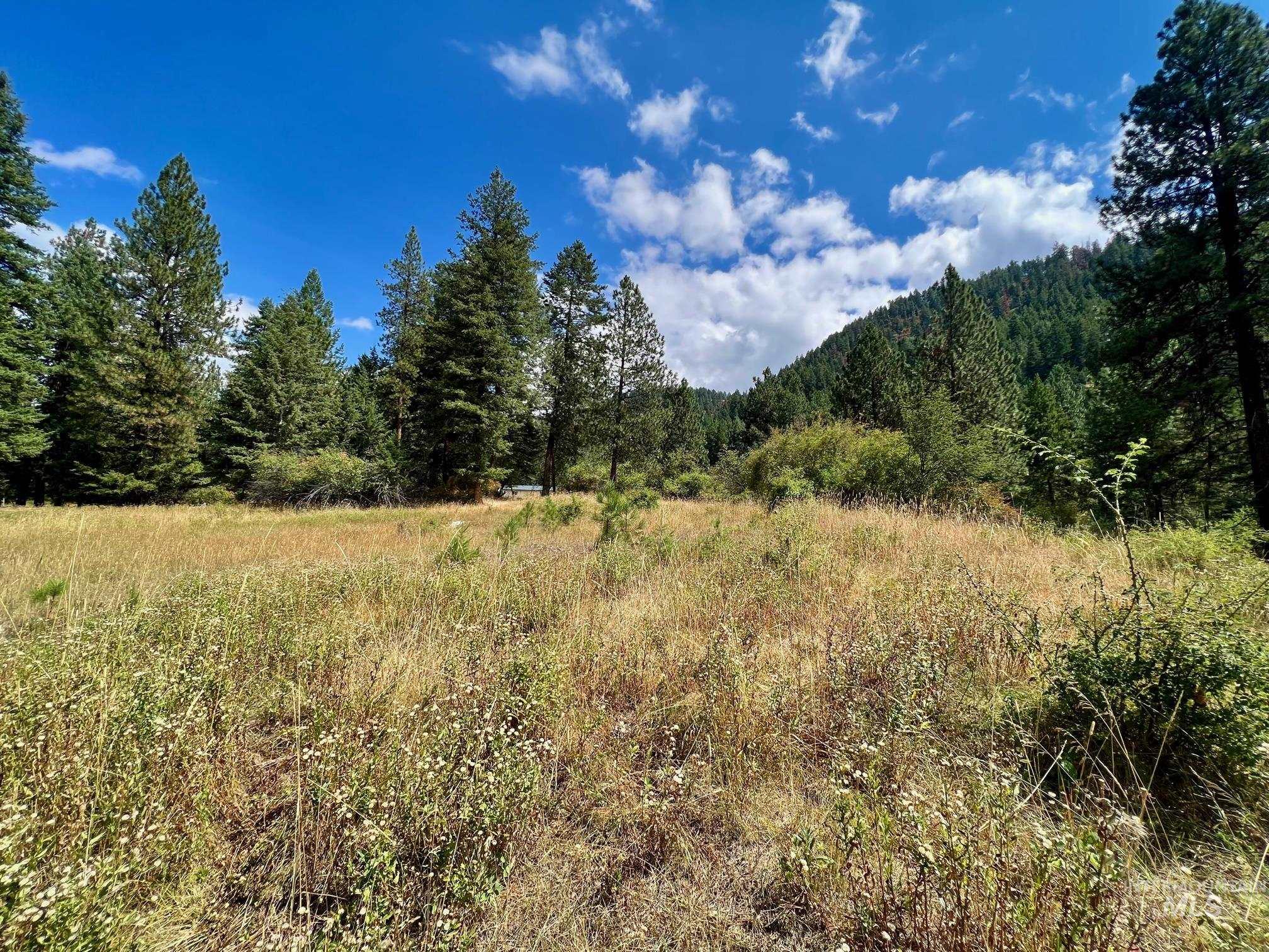 142 Wagon Wheel Lane, White Bird, Idaho 83554, Land For Sale, Price $275,000, 98886677