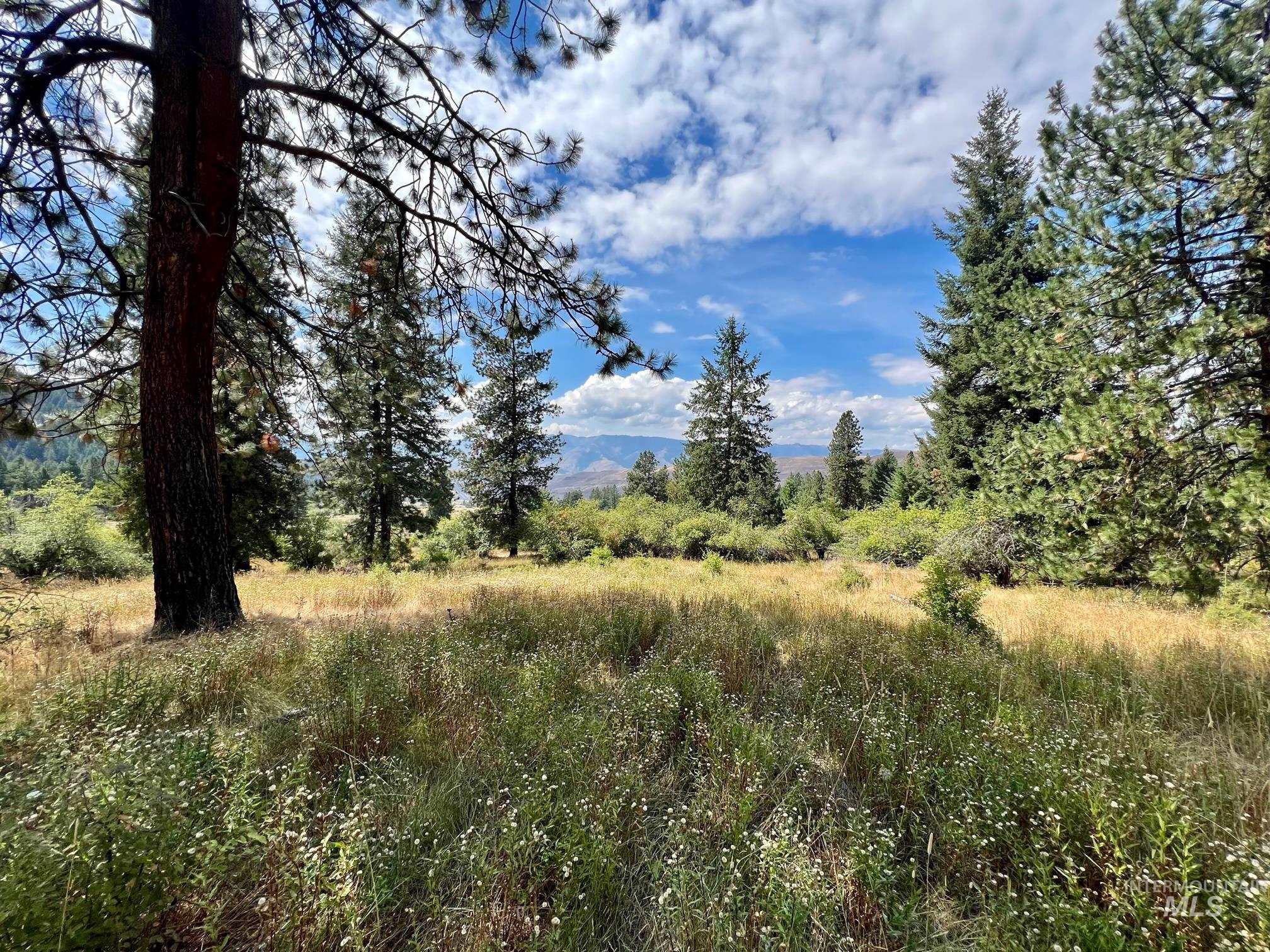 142 Wagon Wheel Lane, White Bird, Idaho 83554, Land For Sale, Price $275,000, 98886677