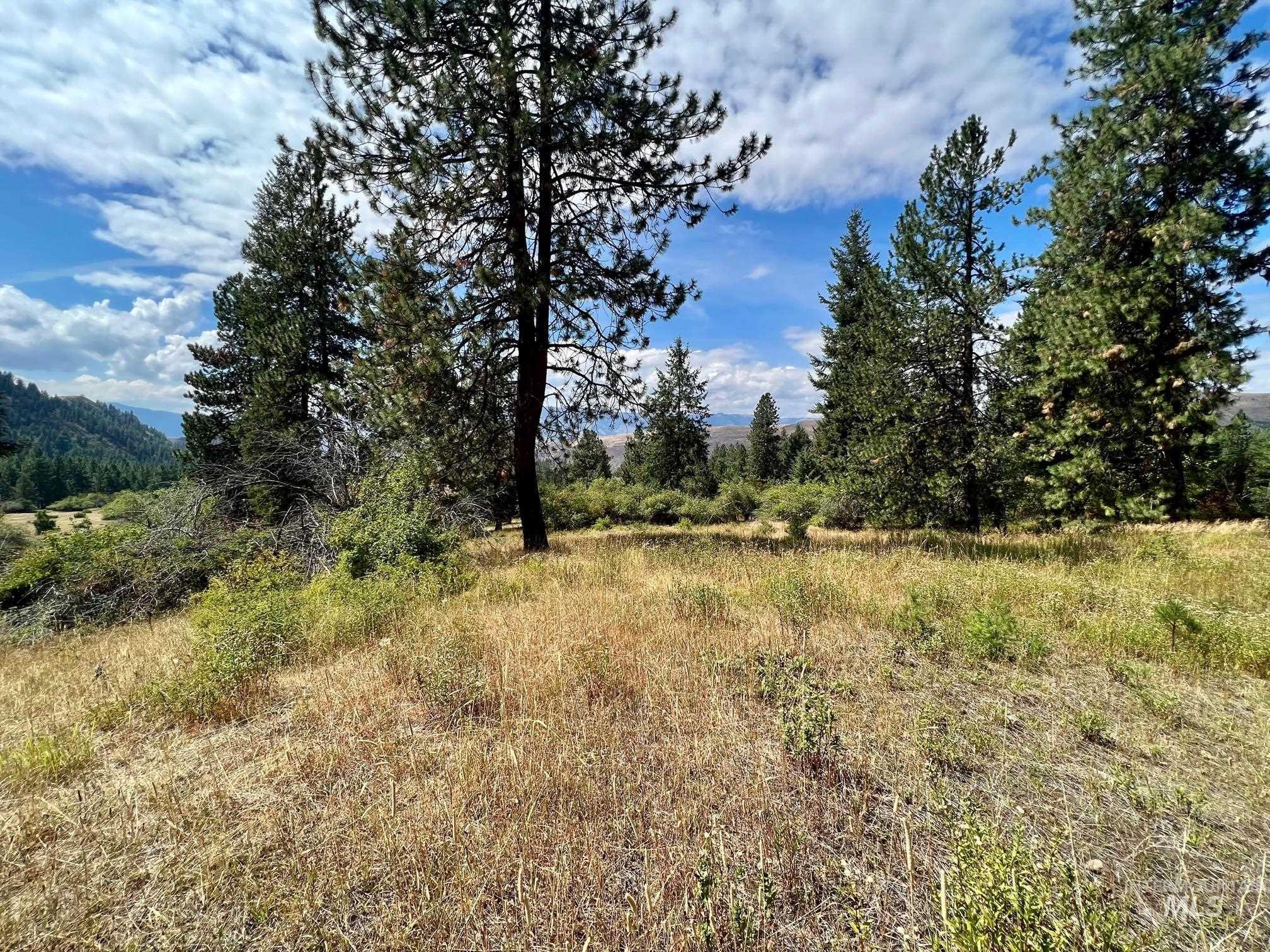142 Wagon Wheel Lane, White Bird, Idaho 83554, Land For Sale, Price $275,000, 98886677