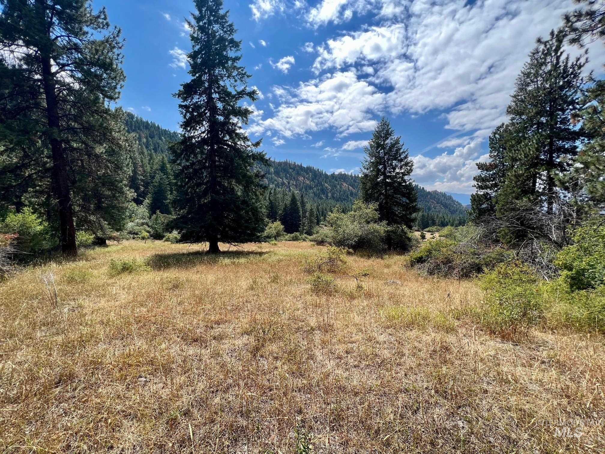 142 Wagon Wheel Lane, White Bird, Idaho 83554, Land For Sale, Price $275,000, 98886677