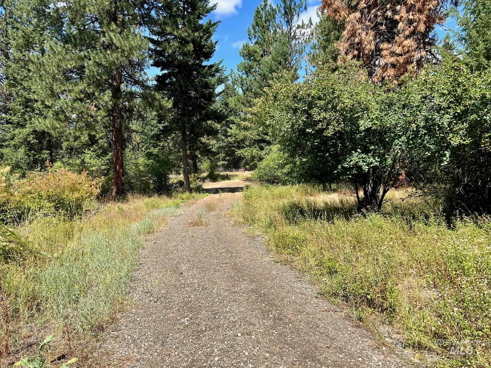 142 Wagon Wheel Lane, White Bird, Idaho 83554, Land For Sale, Price $275,000,MLS 98886677