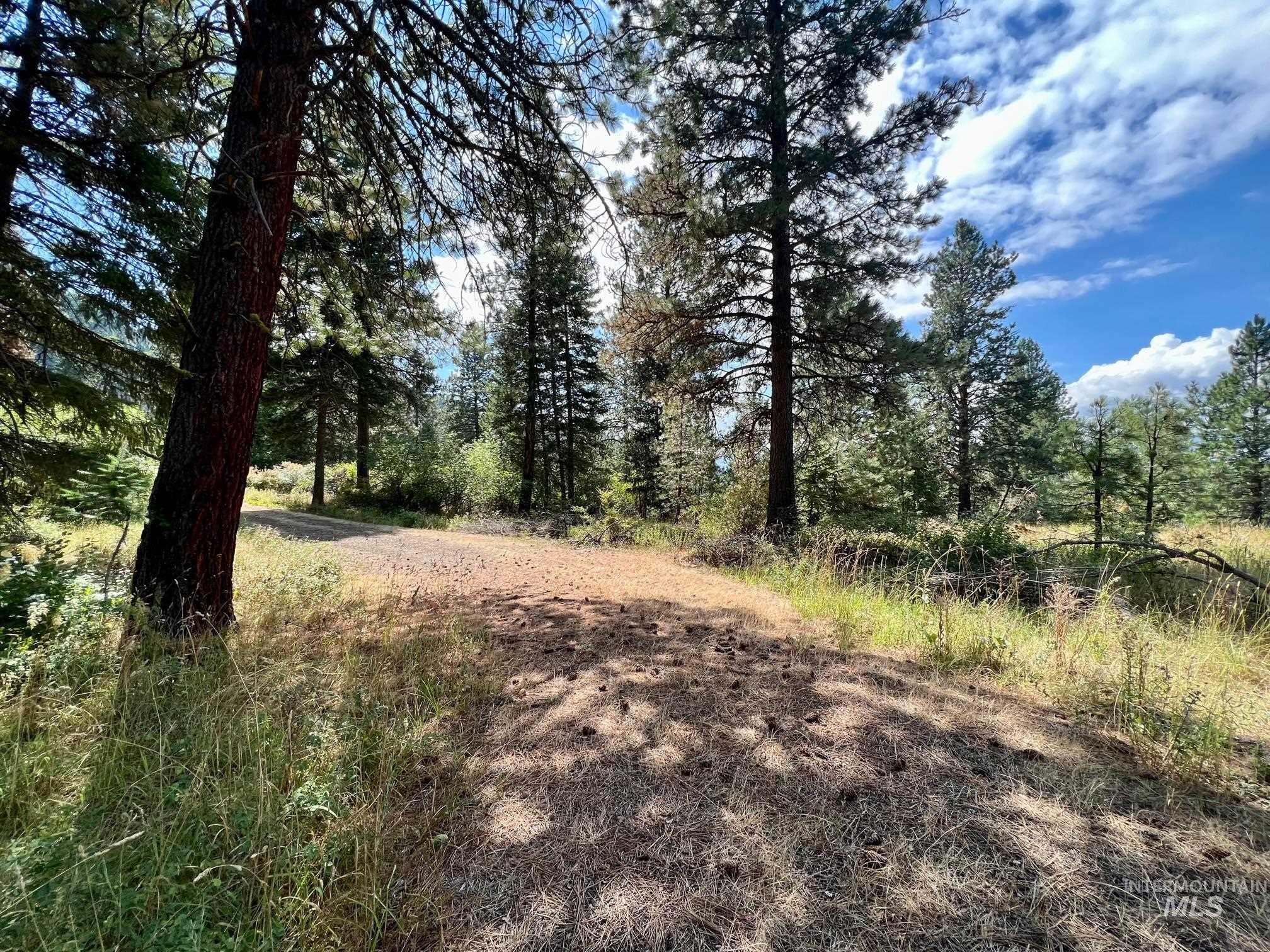 142 Wagon Wheel Lane, White Bird, Idaho 83554, Land For Sale, Price $275,000, 98886677