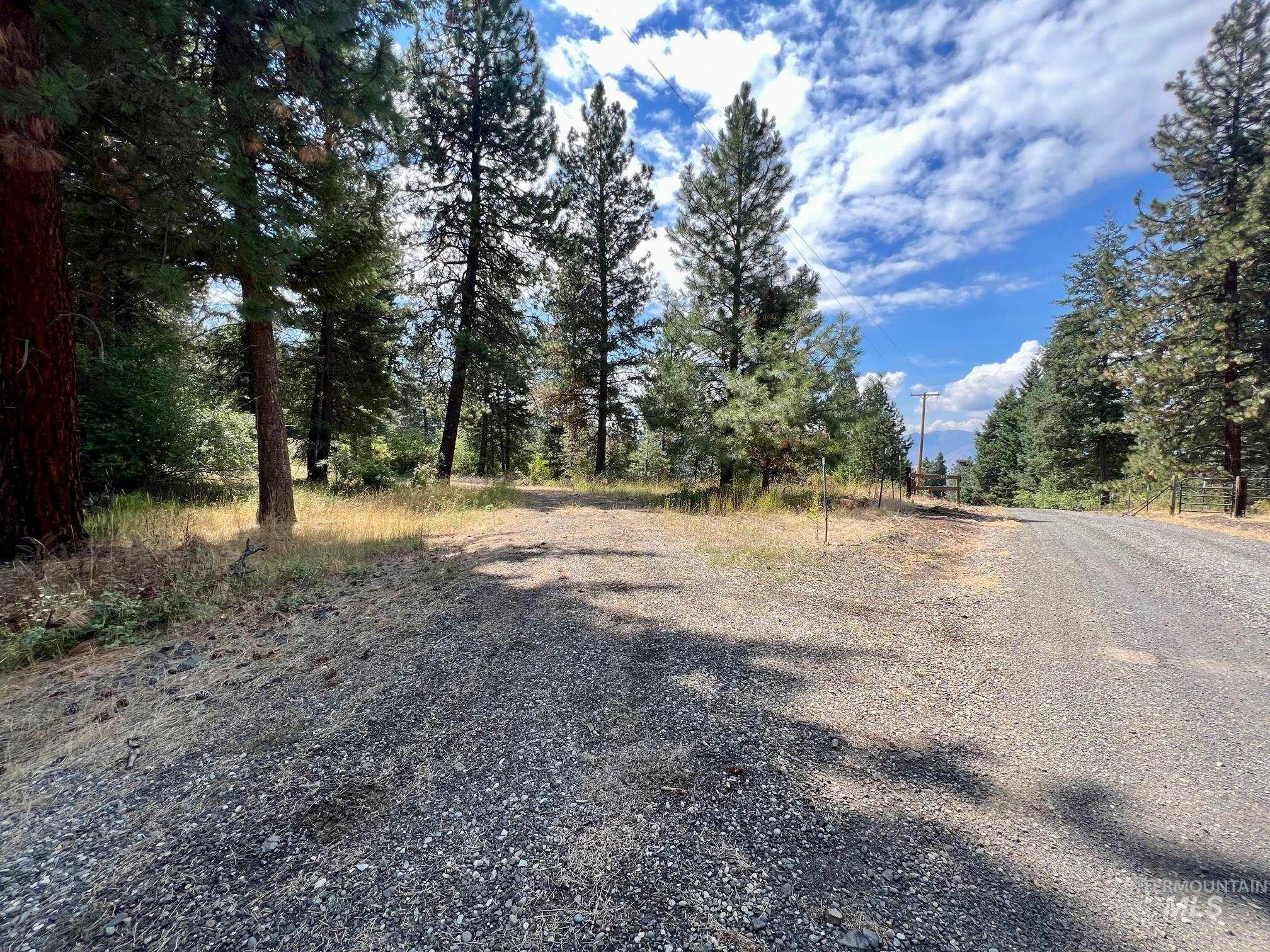 142 Wagon Wheel Lane, White Bird, Idaho 83554, Land For Sale, Price $275,000, 98886677