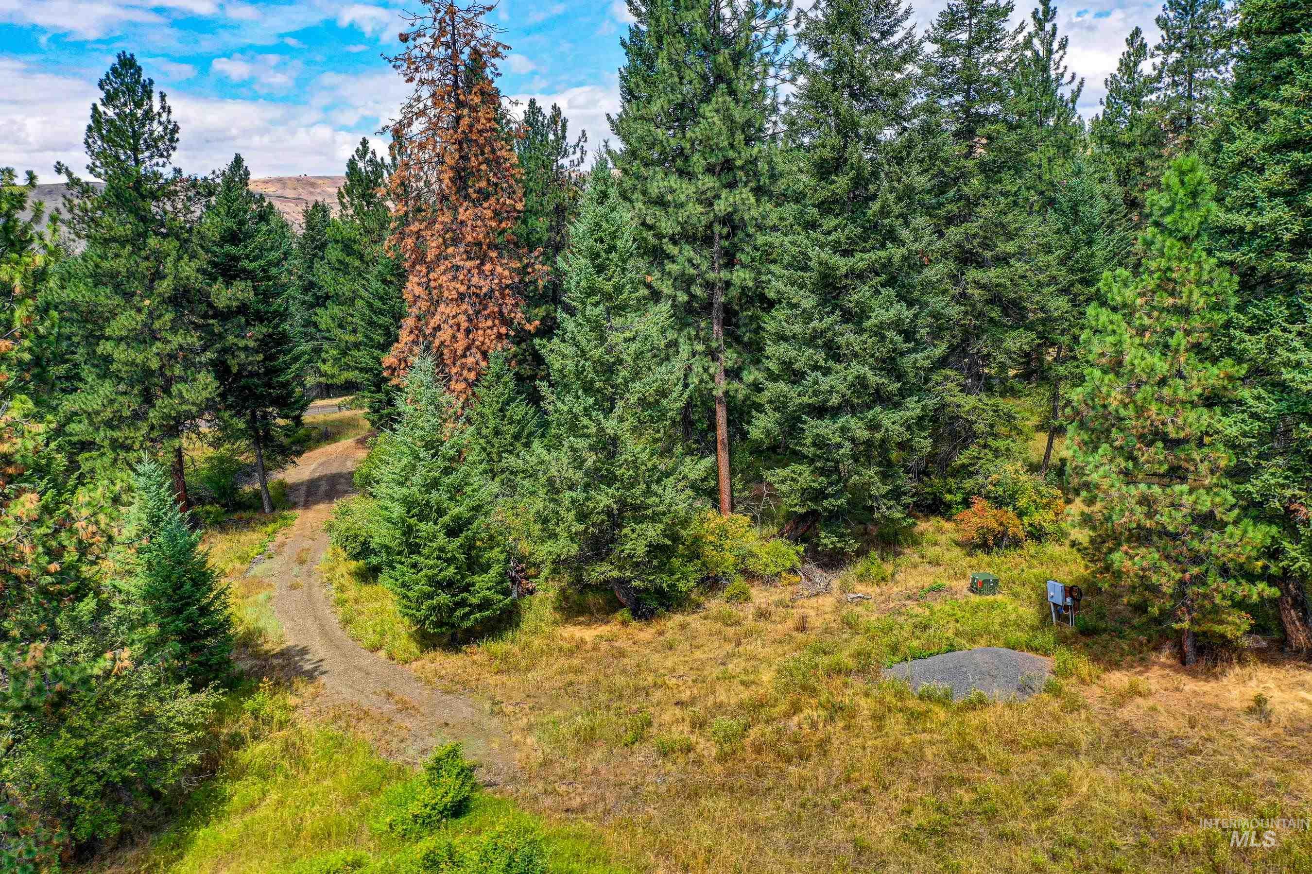 142 Wagon Wheel Lane, White Bird, Idaho 83554, Land For Sale, Price $275,000, 98886677