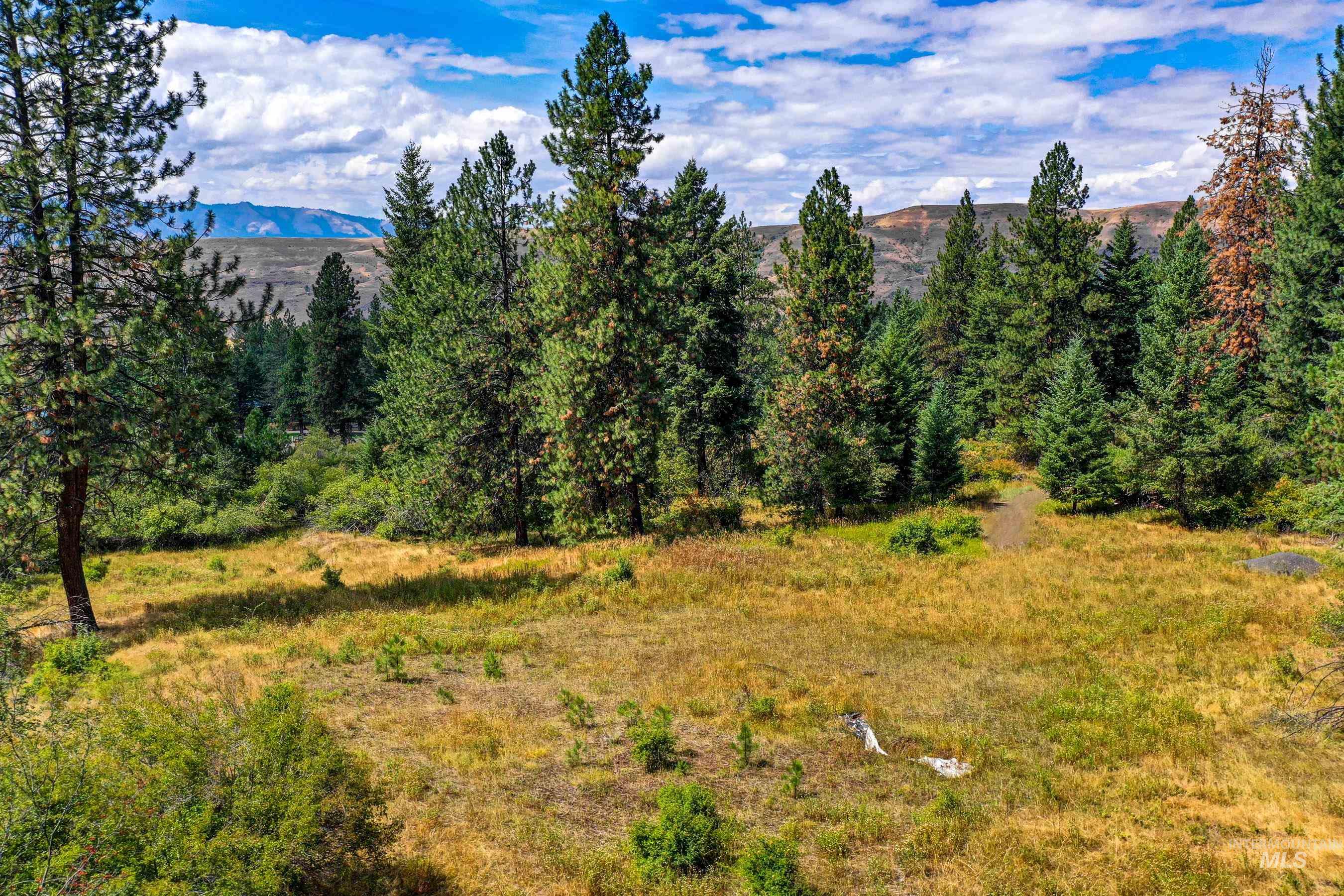142 Wagon Wheel Lane, White Bird, Idaho 83554, Land For Sale, Price $275,000, 98886677