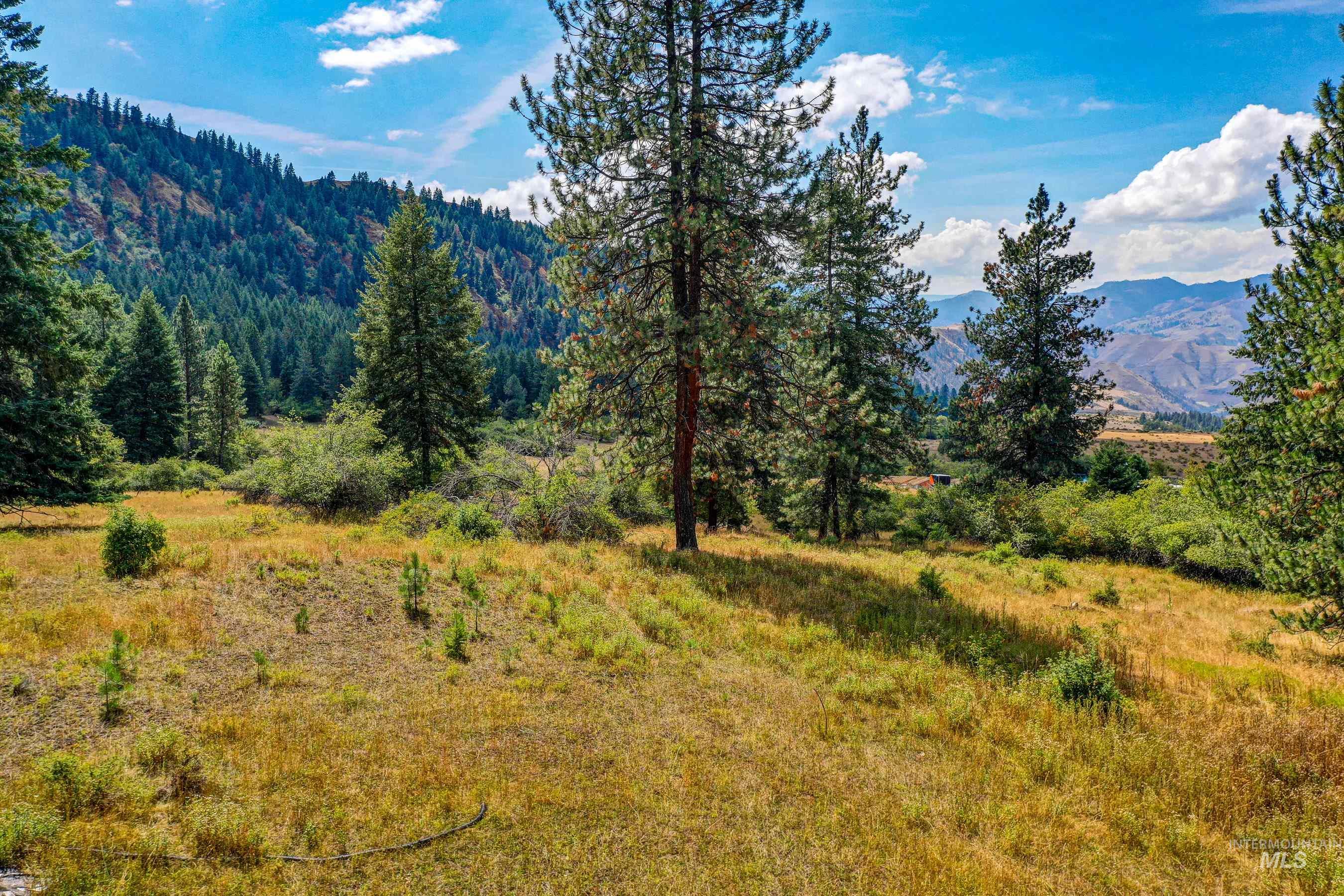 142 Wagon Wheel Lane, White Bird, Idaho 83554, Land For Sale, Price $275,000, 98886677