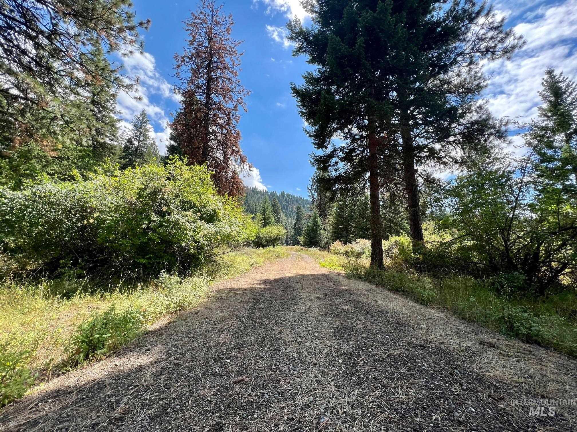 142 Wagon Wheel Lane, White Bird, Idaho 83554, Land For Sale, Price $275,000, 98886677