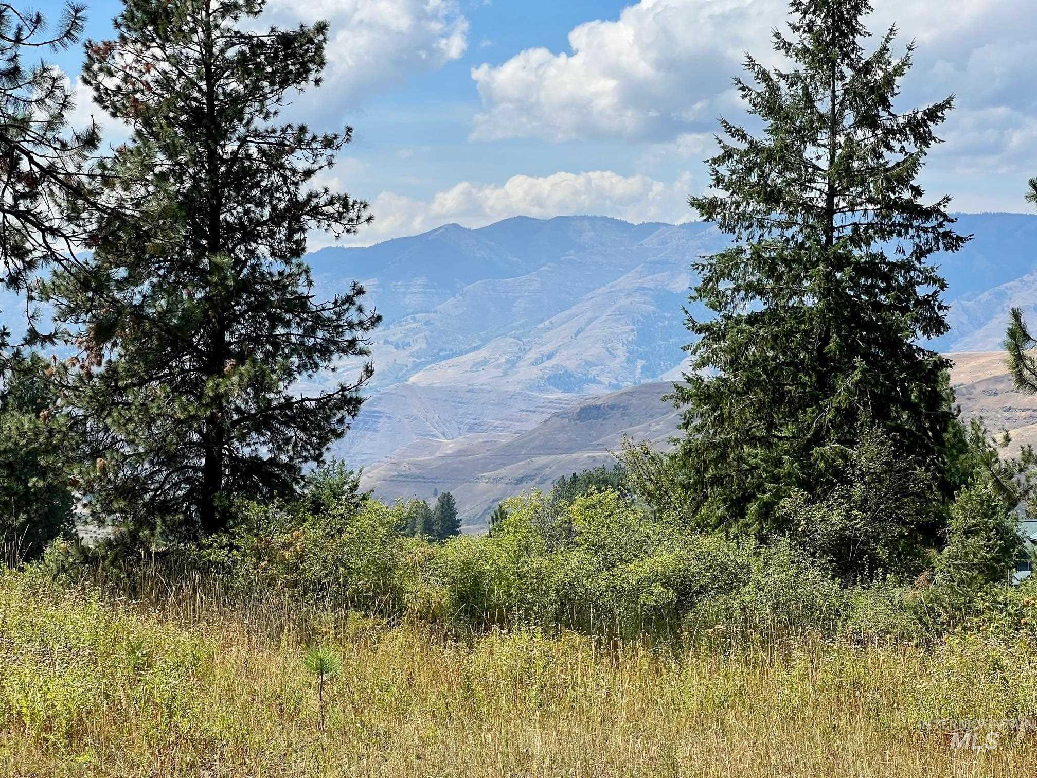 142 Wagon Wheel Lane, White Bird, Idaho 83554, Land For Sale, Price $275,000, 98886677