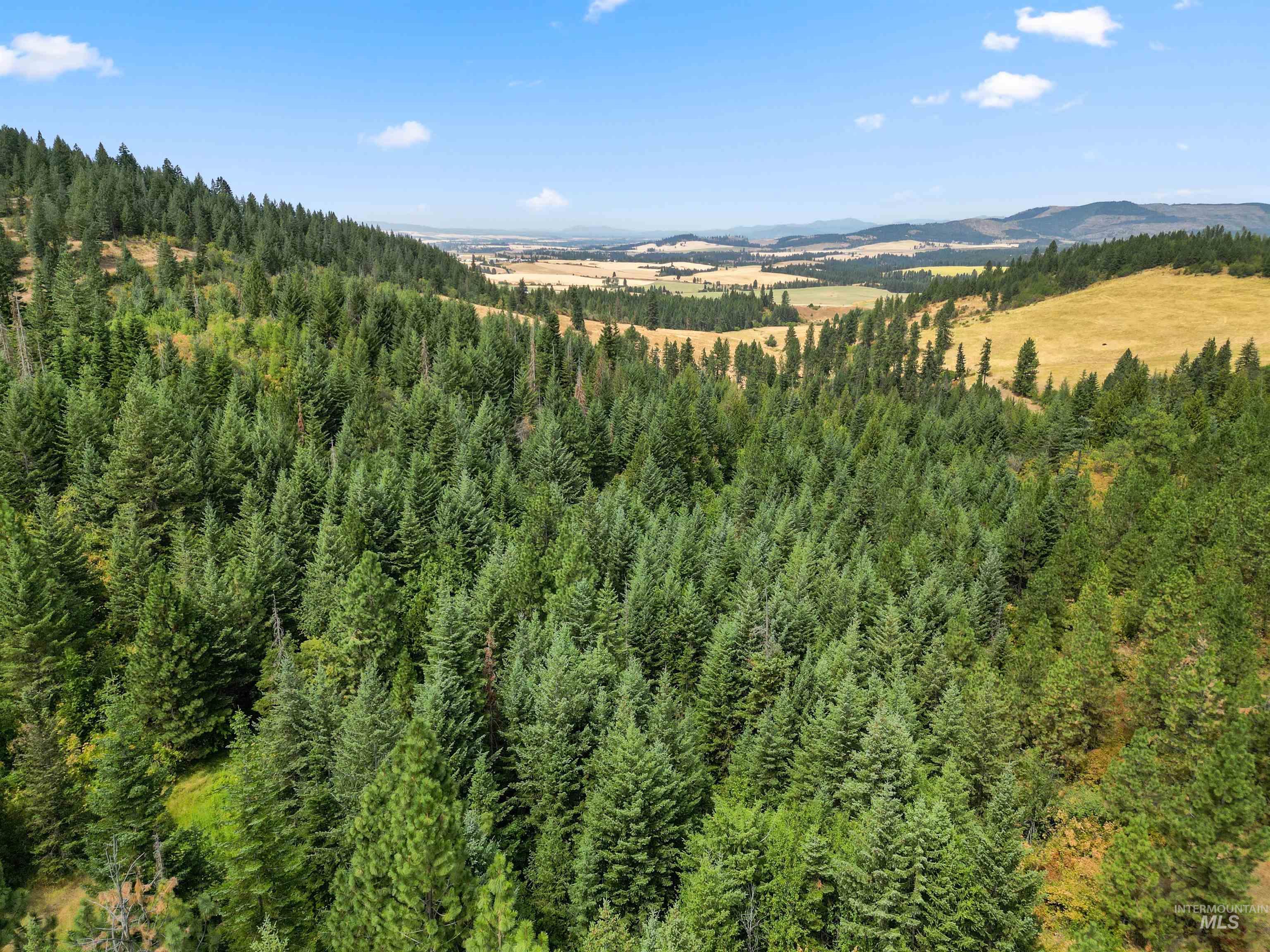 TBD Bluegrass Lane, Kendrick, Idaho 83537, Land For Sale, Price $325,000, 98886912