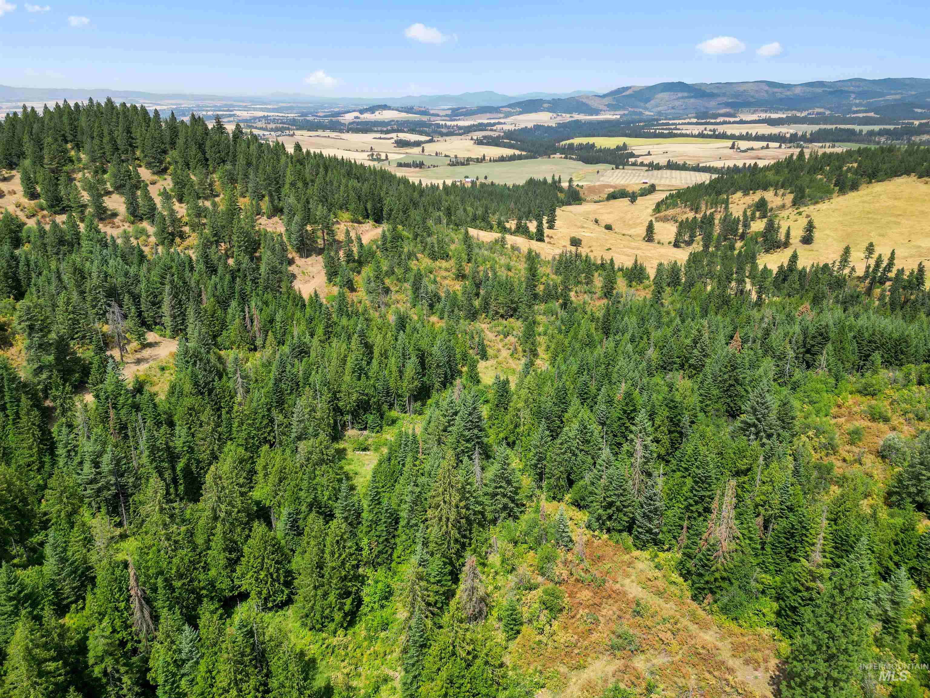 TBD Bluegrass Lane, Kendrick, Idaho 83537, Land For Sale, Price $325,000, 98886912