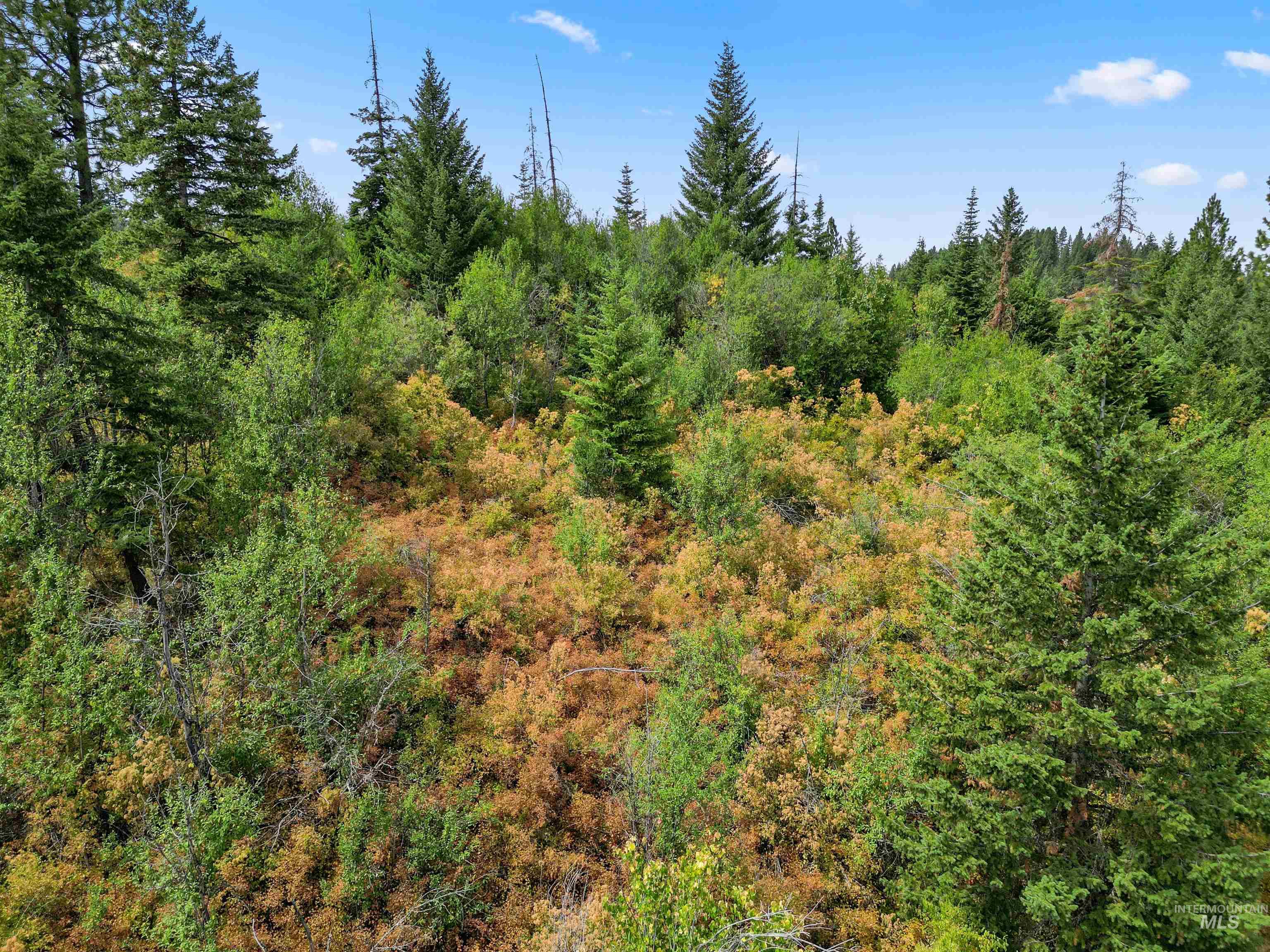 TBD Bluegrass Lane, Kendrick, Idaho 83537, Land For Sale, Price $325,000, 98886912