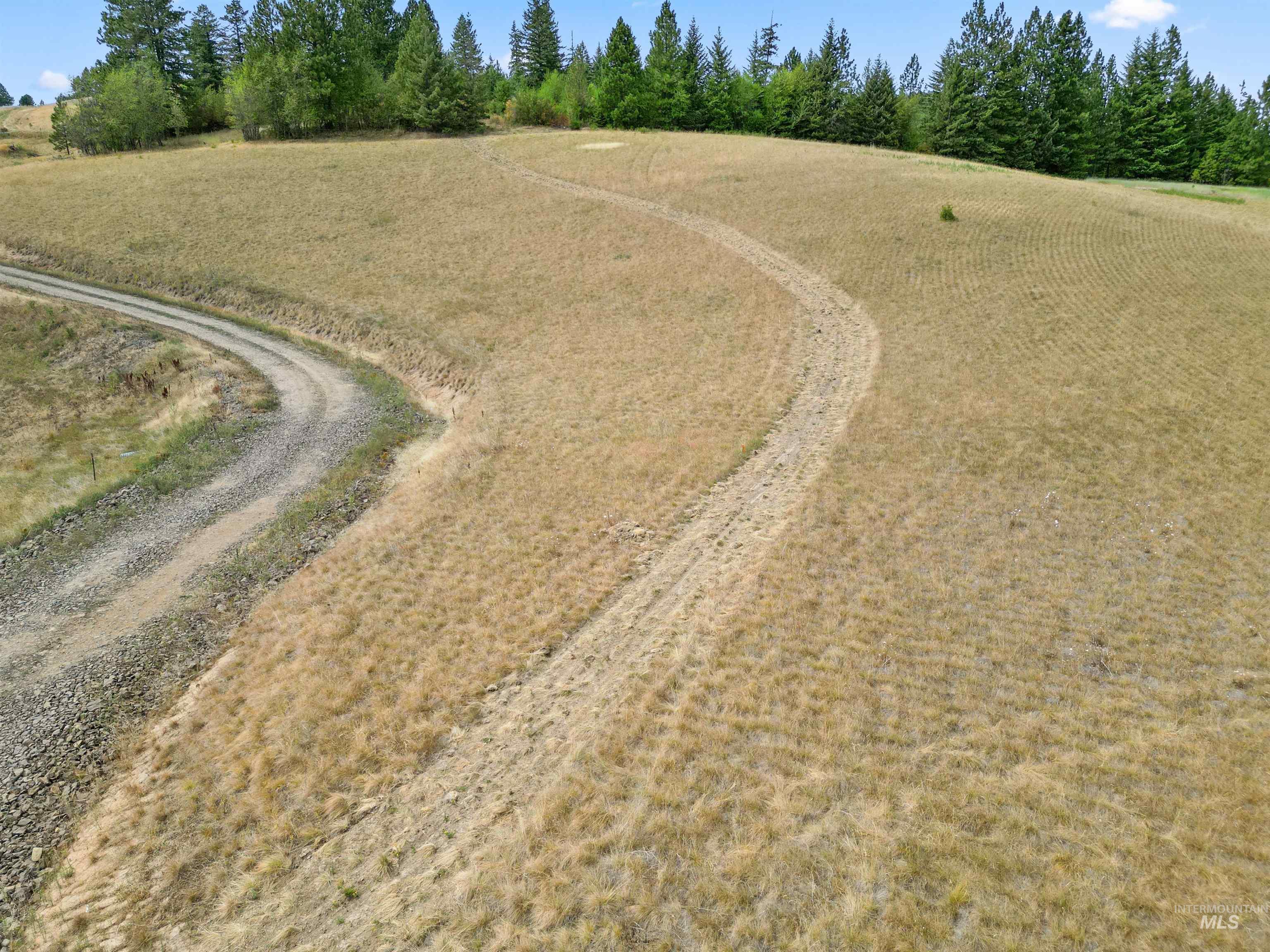 TBD Bluegrass Lane, Kendrick, Idaho 83537, Land For Sale, Price $325,000, 98886912