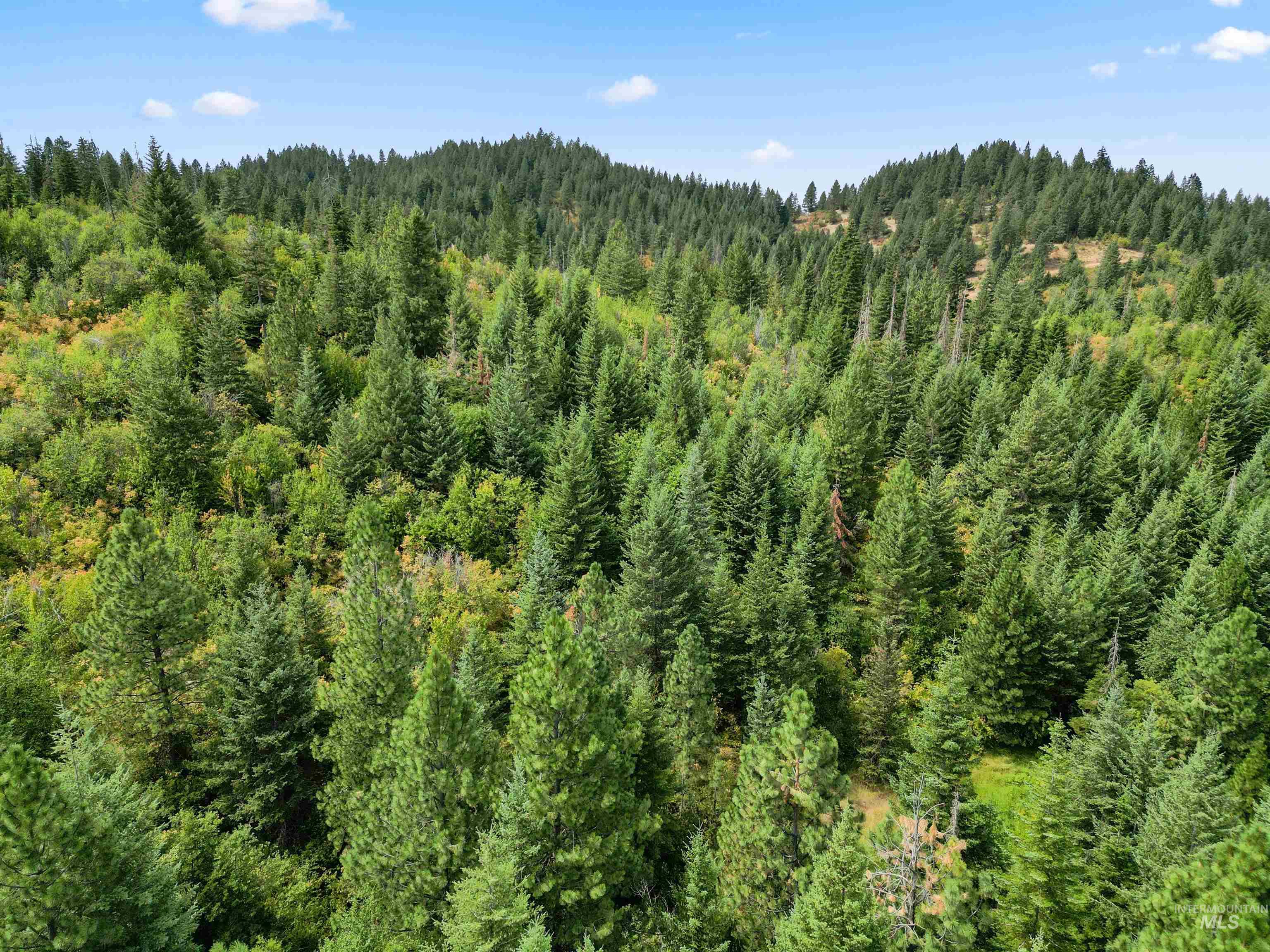 TBD Bluegrass Lane, Kendrick, Idaho 83537, Land For Sale, Price $325,000, 98886912