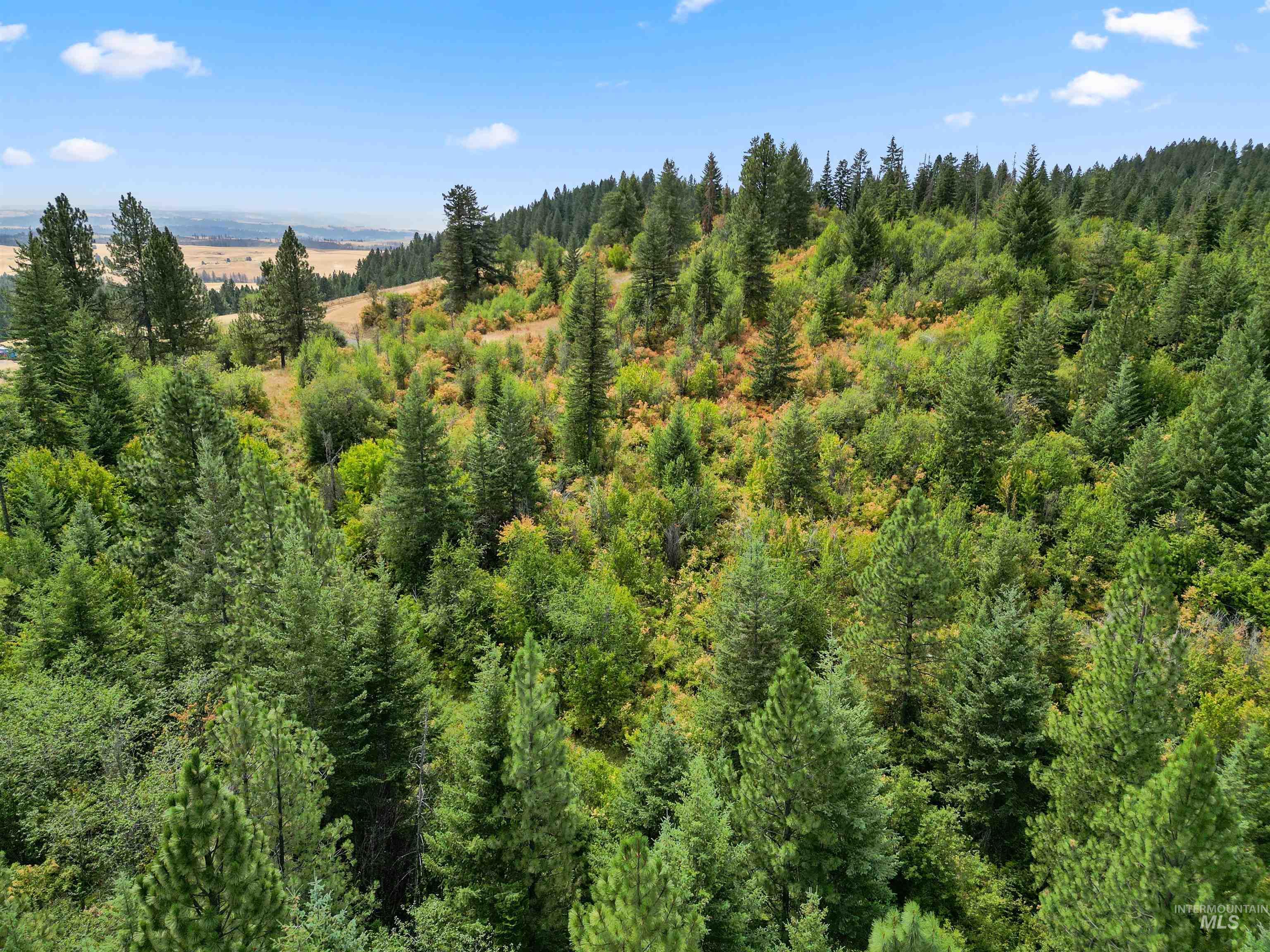 TBD Bluegrass Lane, Kendrick, Idaho 83537, Land For Sale, Price $325,000, 98886912