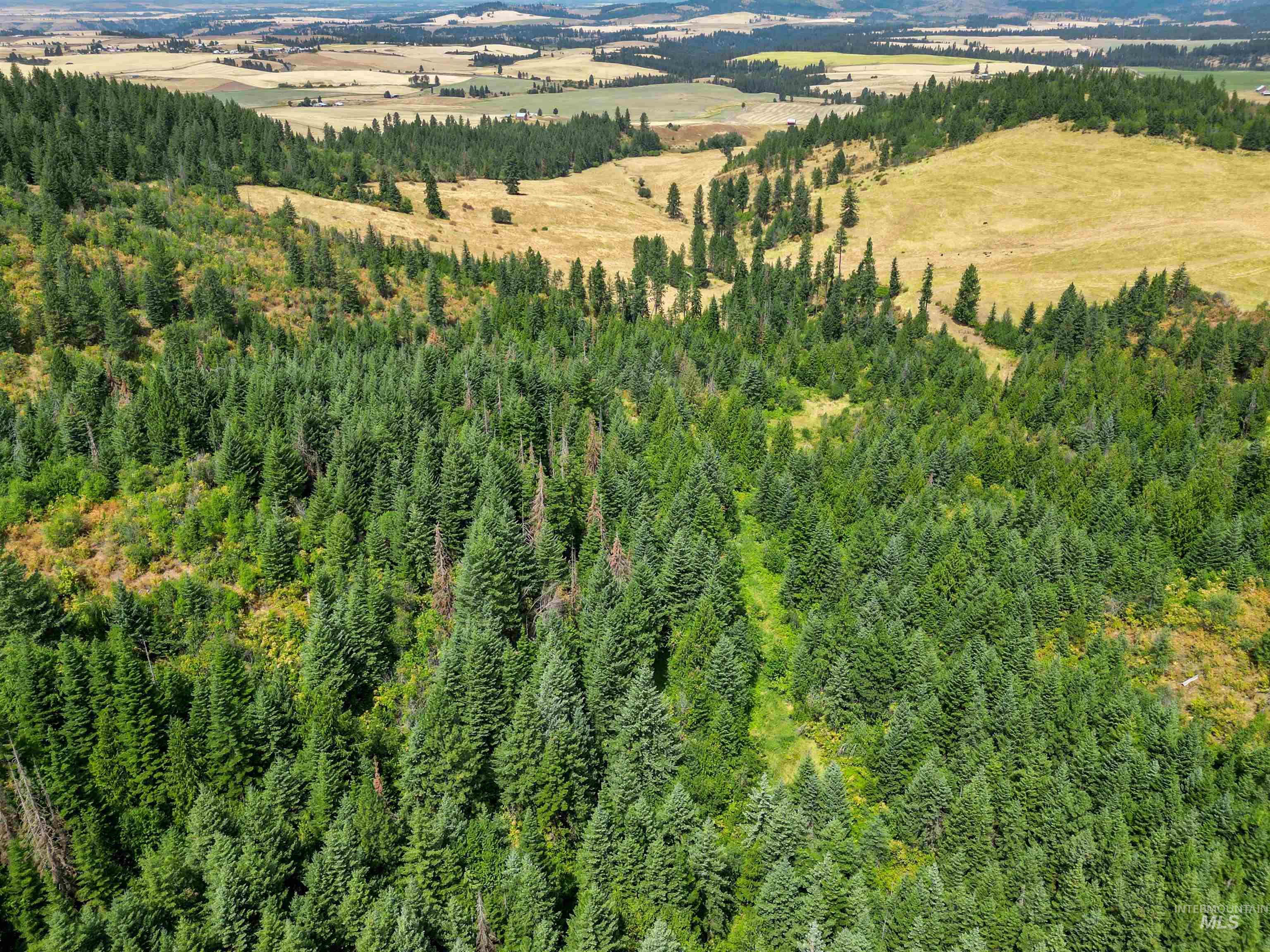 TBD Bluegrass Lane, Kendrick, Idaho 83537, Land For Sale, Price $325,000, 98886912