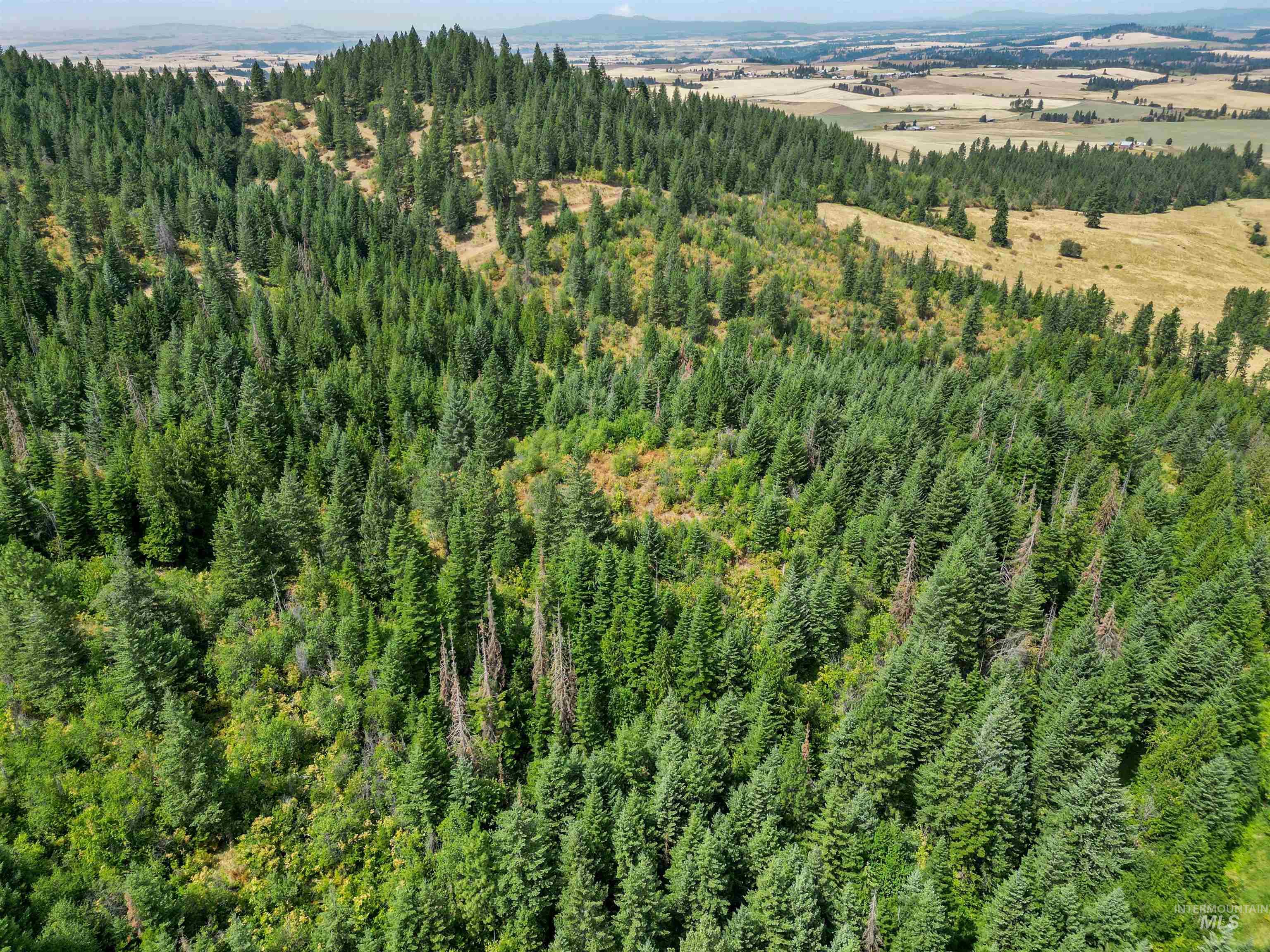 TBD Bluegrass Lane, Kendrick, Idaho 83537, Land For Sale, Price $325,000, 98886912