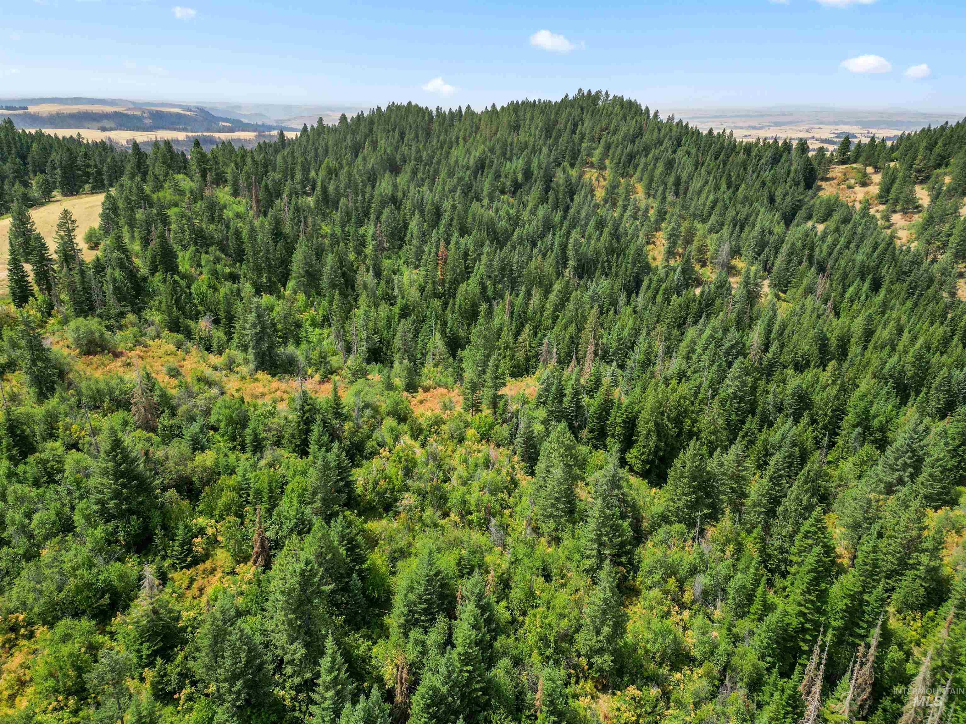 TBD Bluegrass Lane, Kendrick, Idaho 83537, Land For Sale, Price $325,000, 98886912