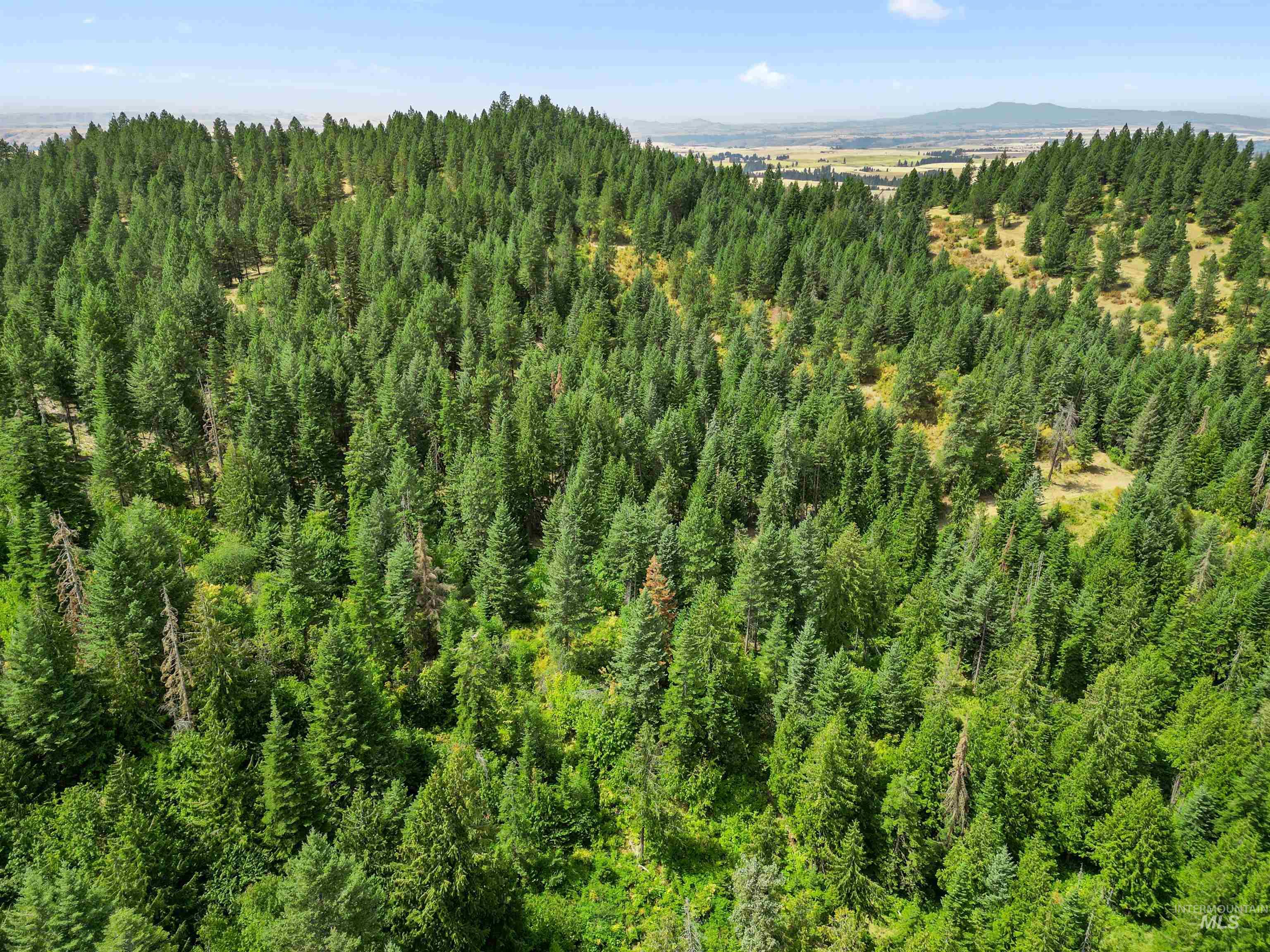 TBD Bluegrass Lane, Kendrick, Idaho 83537, Land For Sale, Price $325,000, 98886912