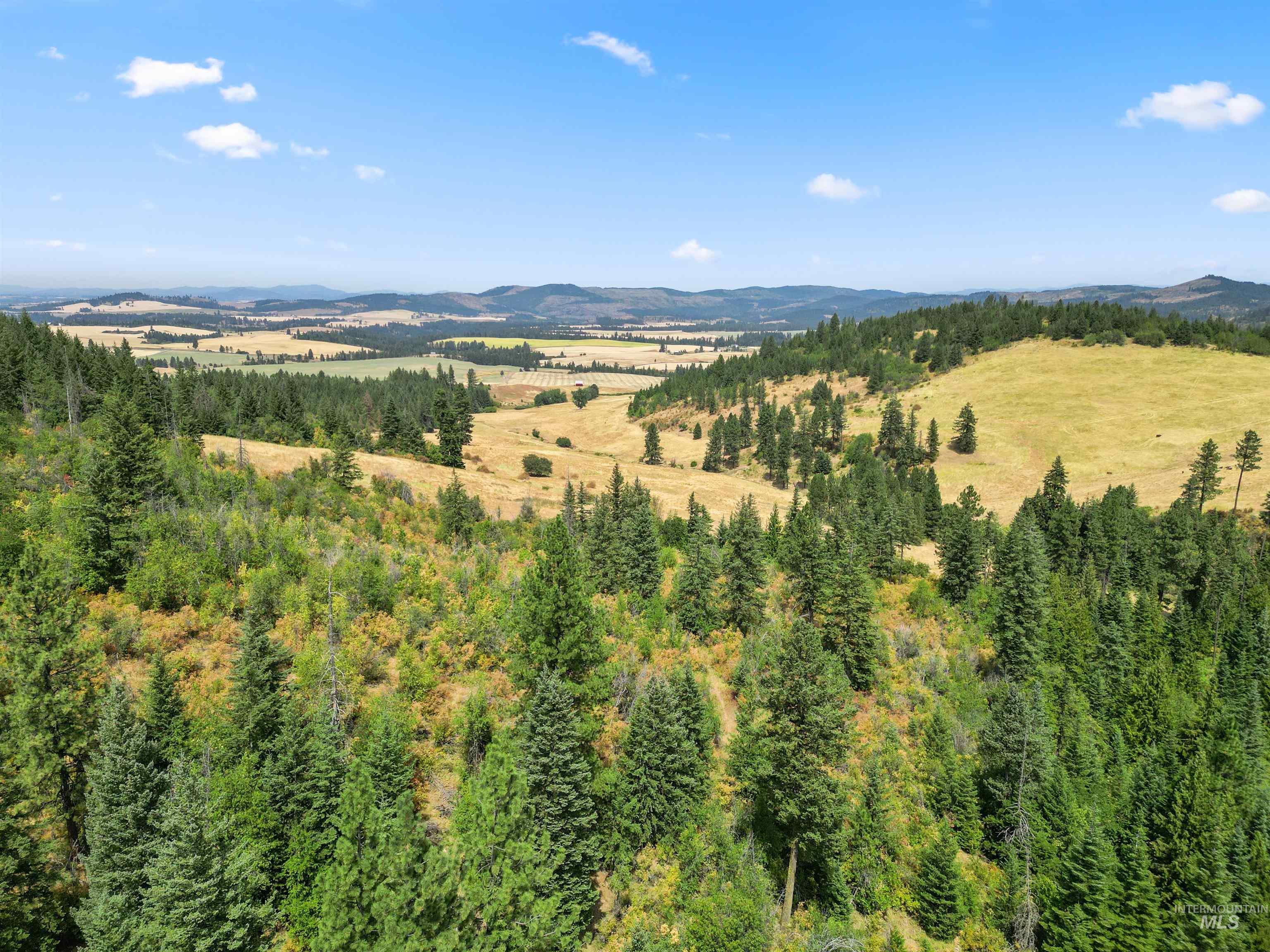 TBD Bluegrass Lane, Kendrick, Idaho 83537, Land For Sale, Price $325,000, 98886912