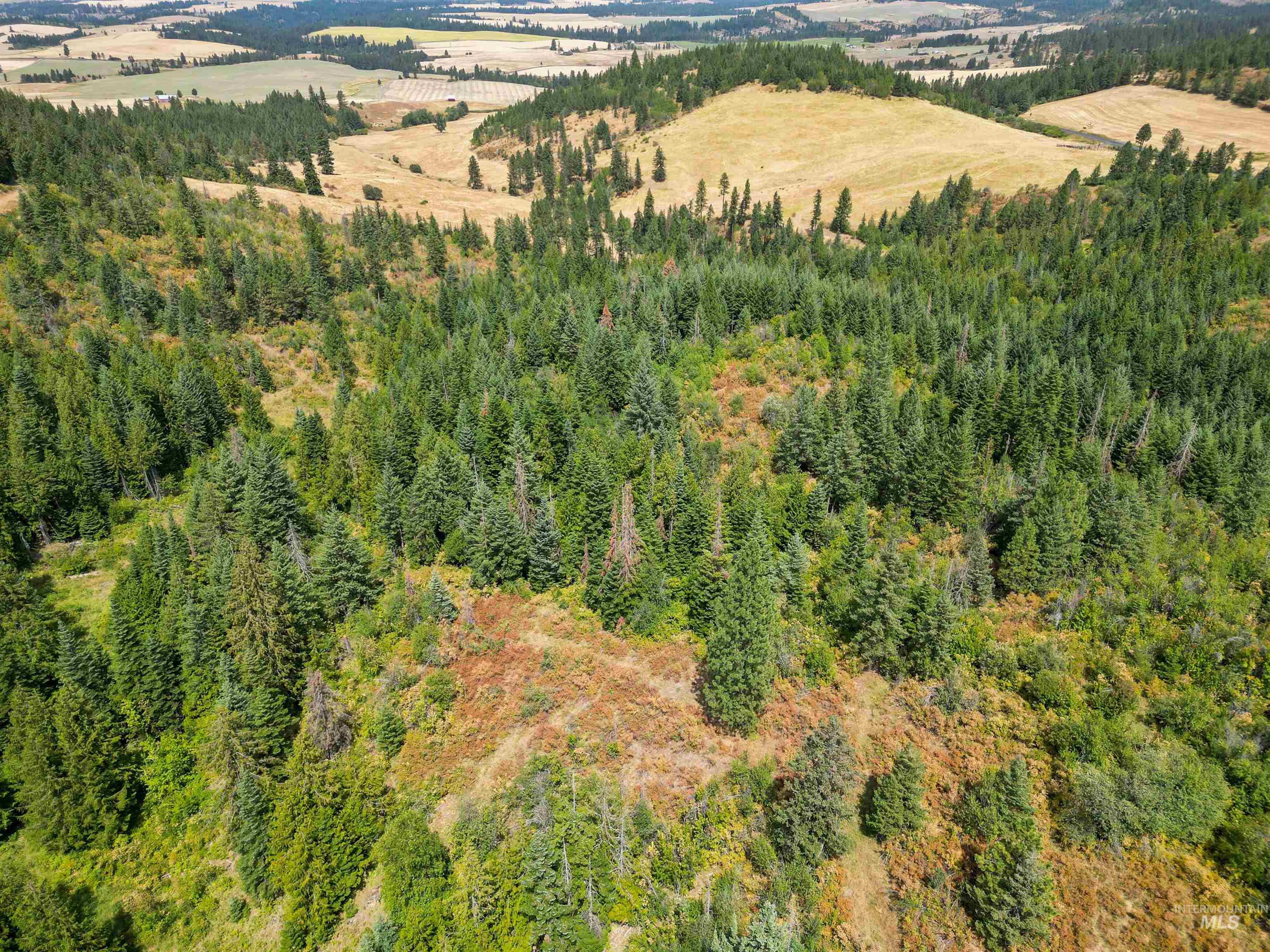 TBD Bluegrass Lane, Kendrick, Idaho 83537, Land For Sale, Price $325,000, 98886912