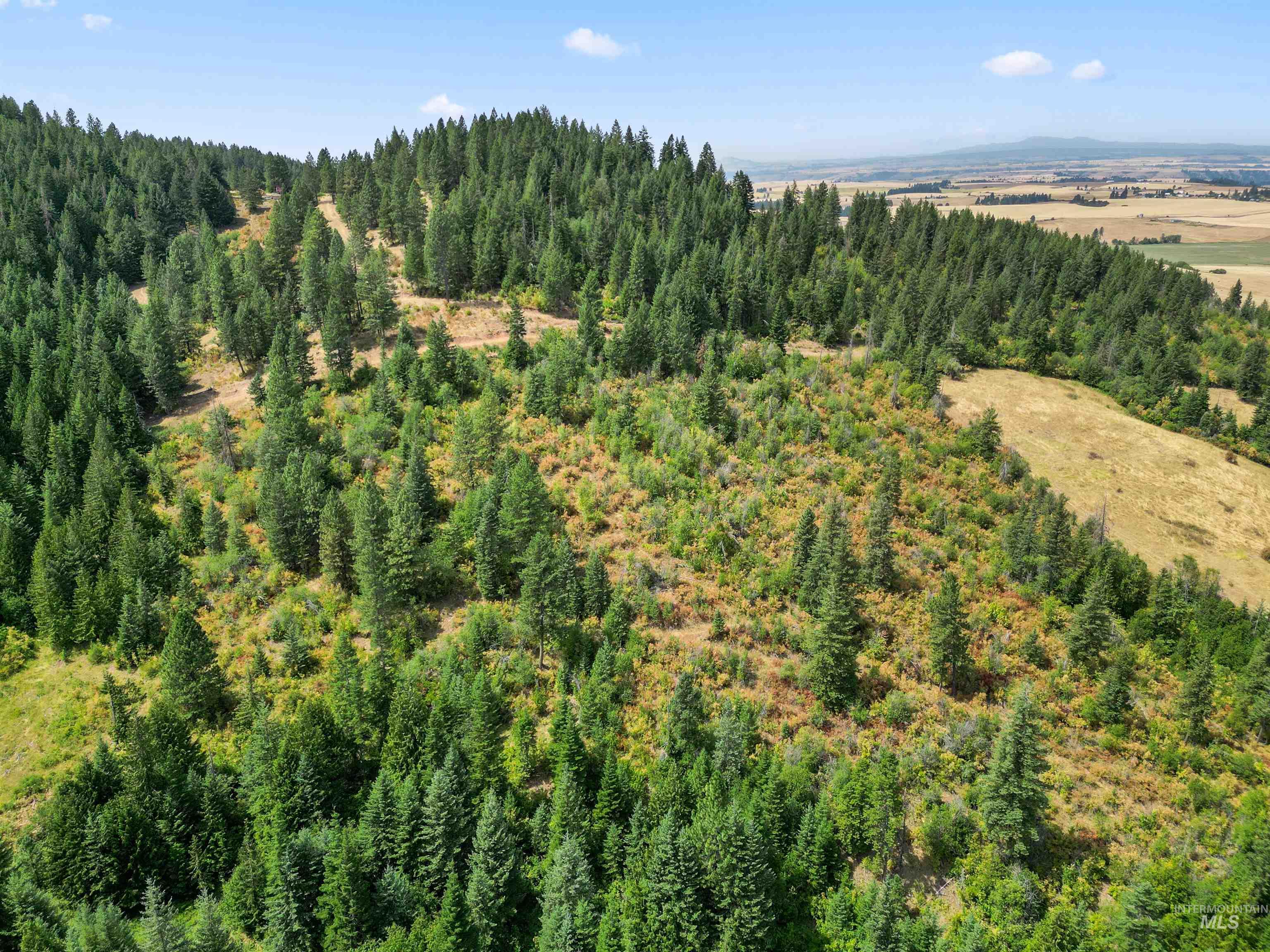 TBD Bluegrass Lane, Kendrick, Idaho 83537, Land For Sale, Price $325,000, 98886912
