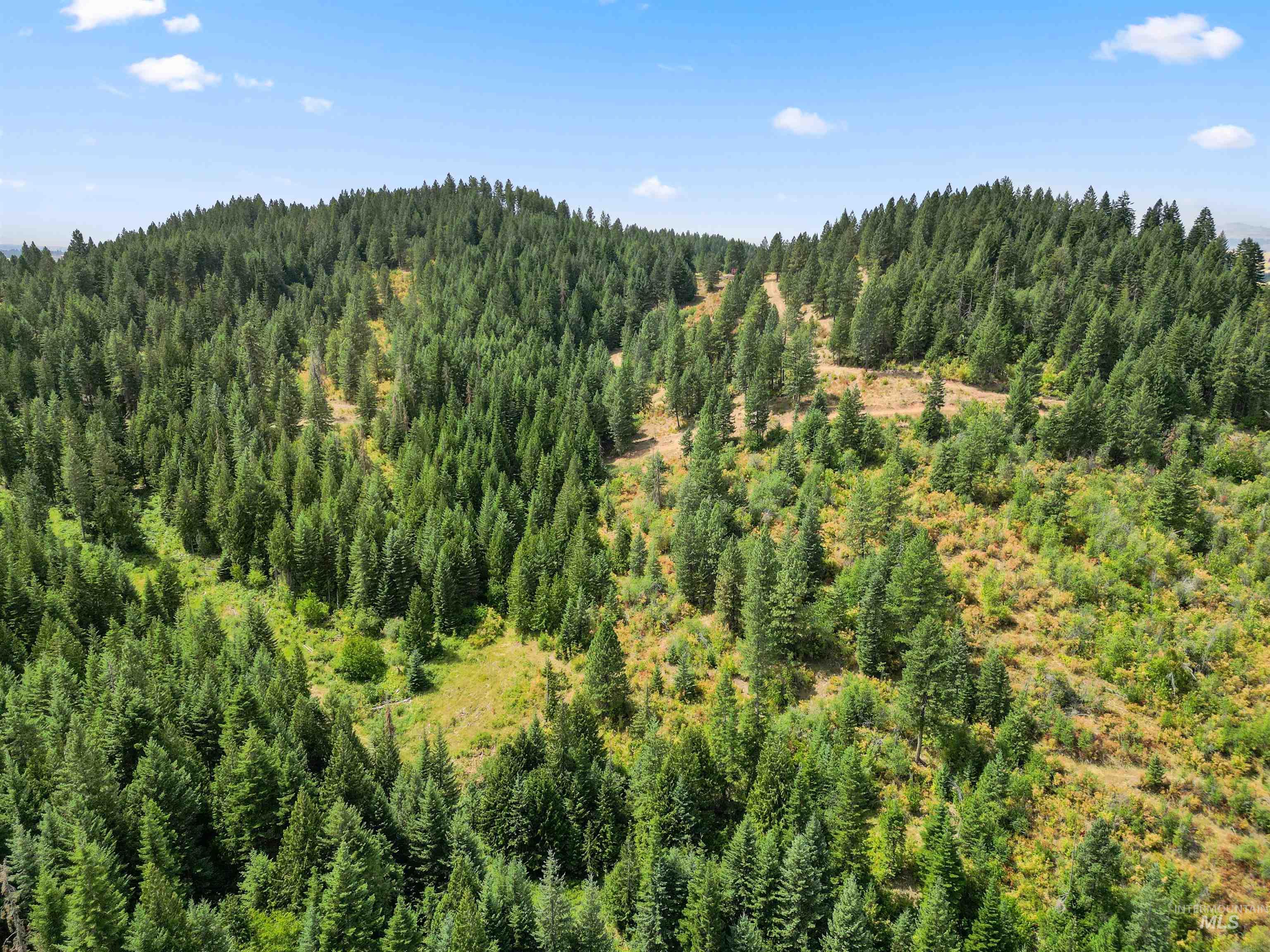TBD Bluegrass Lane, Kendrick, Idaho 83537, Land For Sale, Price $325,000, 98886912