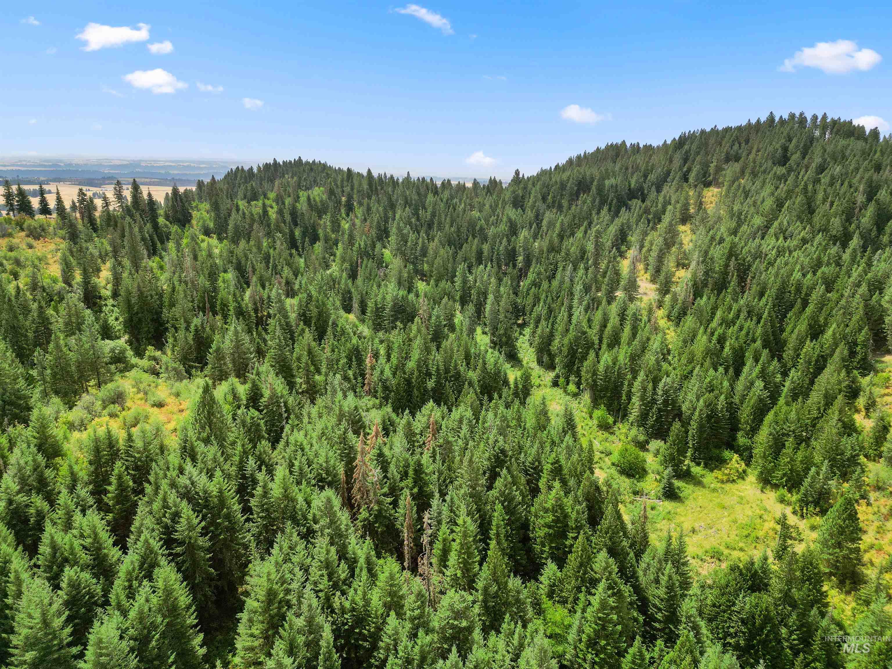 TBD Bluegrass Lane, Kendrick, Idaho 83537, Land For Sale, Price $325,000, 98886912