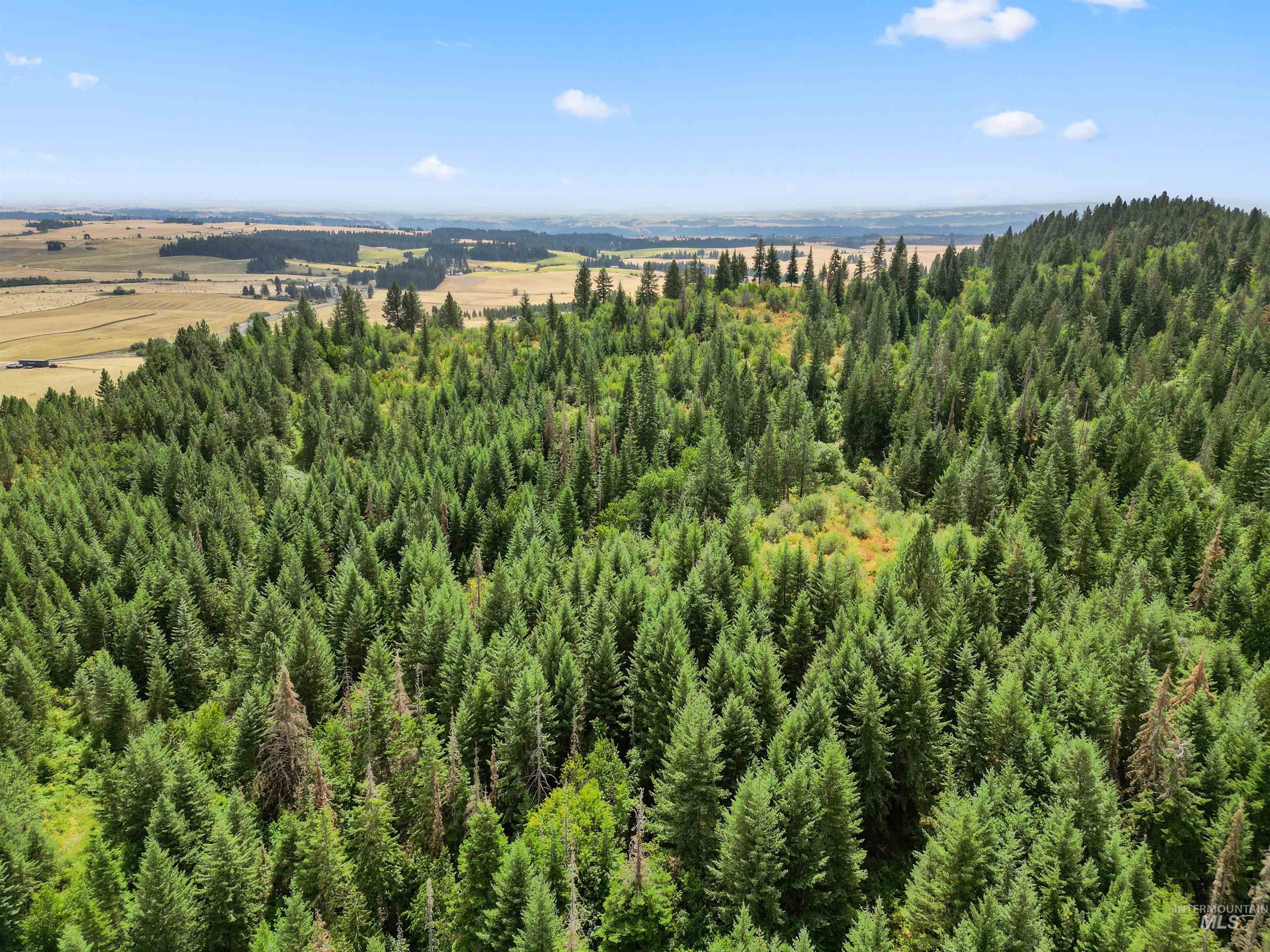 TBD Bluegrass Lane, Kendrick, Idaho 83537, Land For Sale, Price $325,000, 98886912