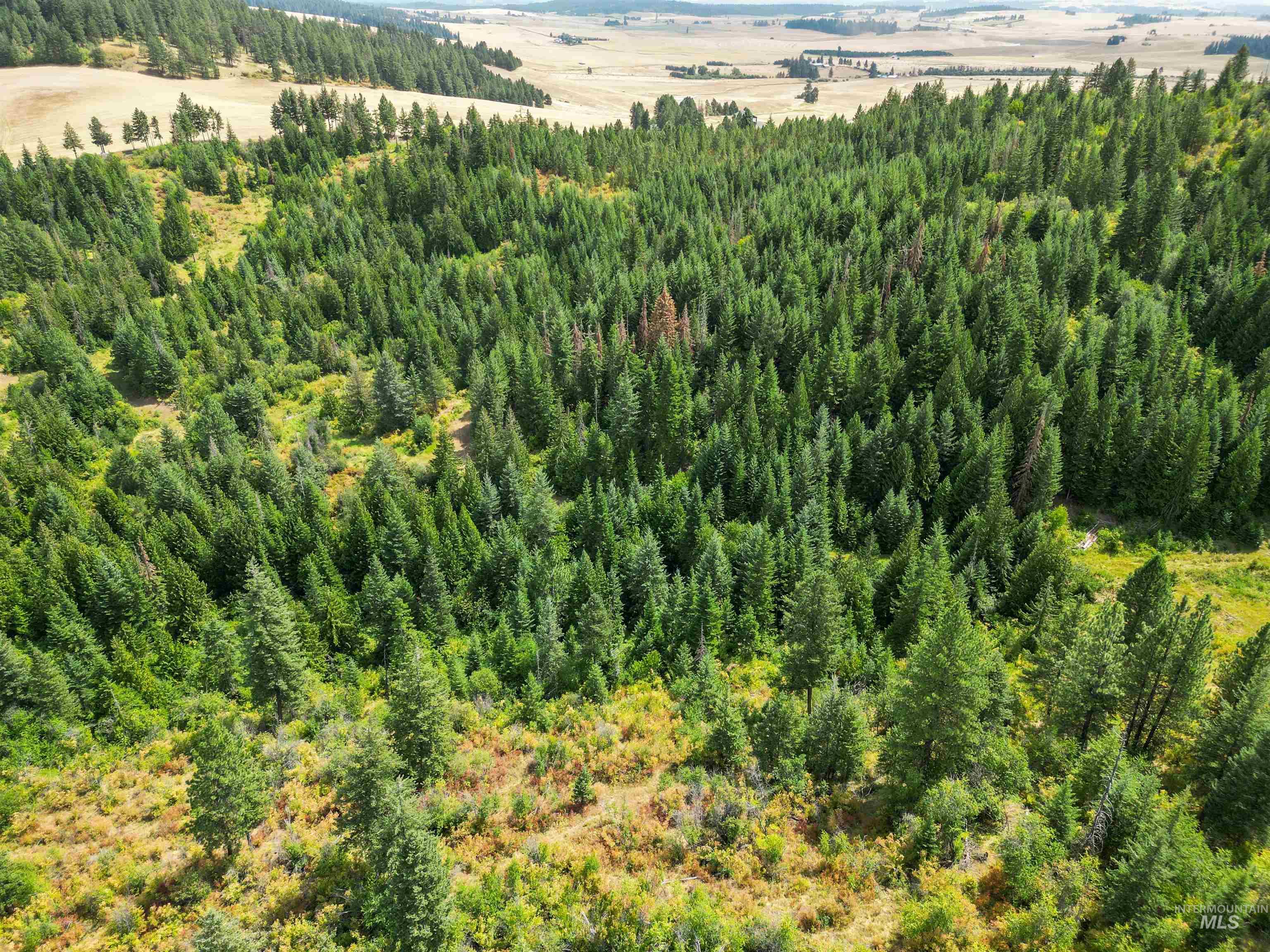 TBD Bluegrass Lane, Kendrick, Idaho 83537, Land For Sale, Price $325,000, 98886912