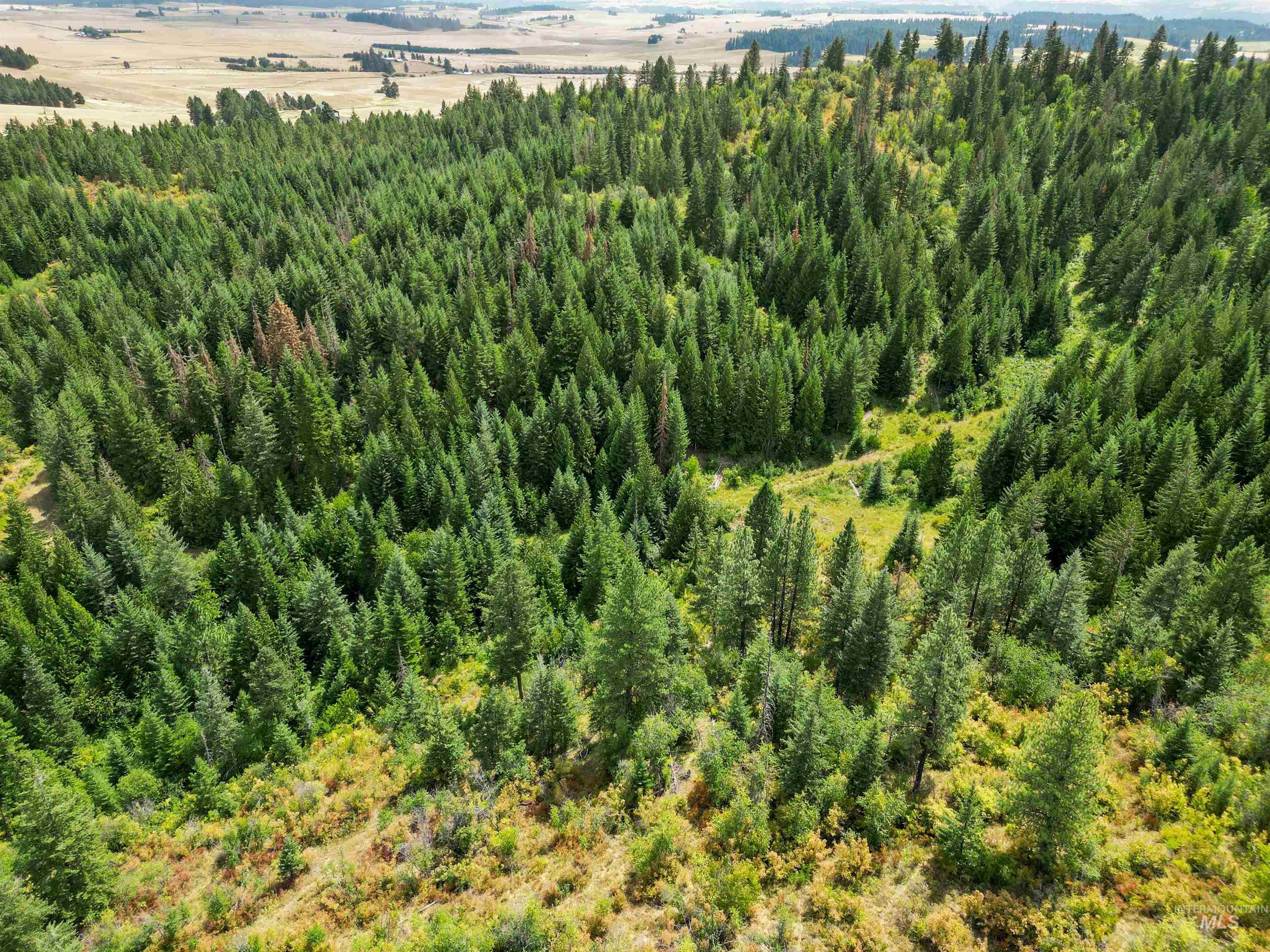TBD Bluegrass Lane, Kendrick, Idaho 83537, Land For Sale, Price $325,000, 98886912