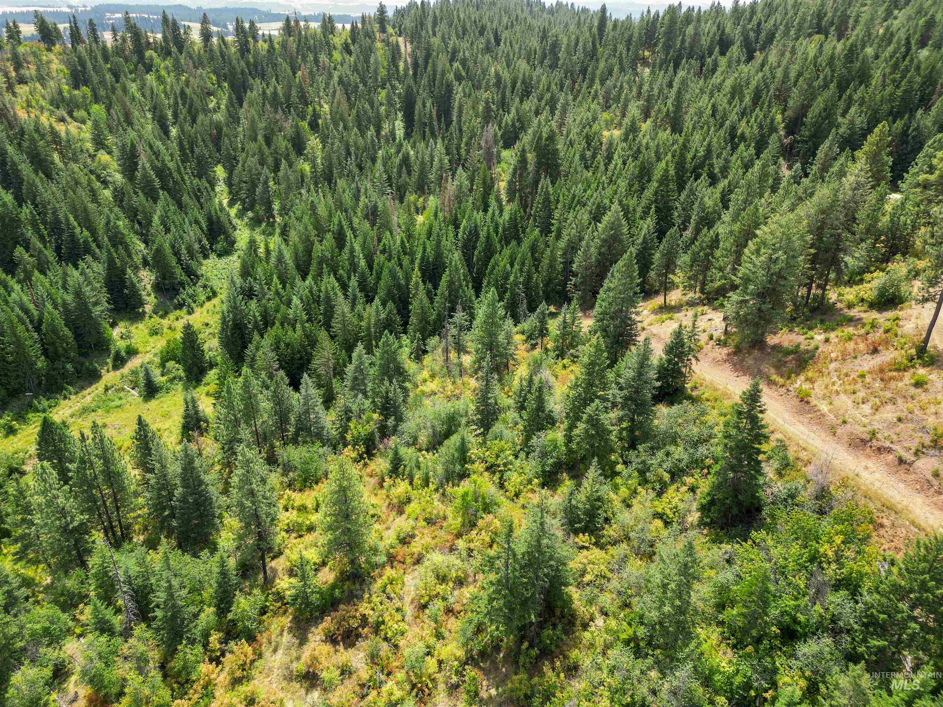TBD Bluegrass Lane, Kendrick, Idaho 83537, Land For Sale, Price $325,000, 98886912