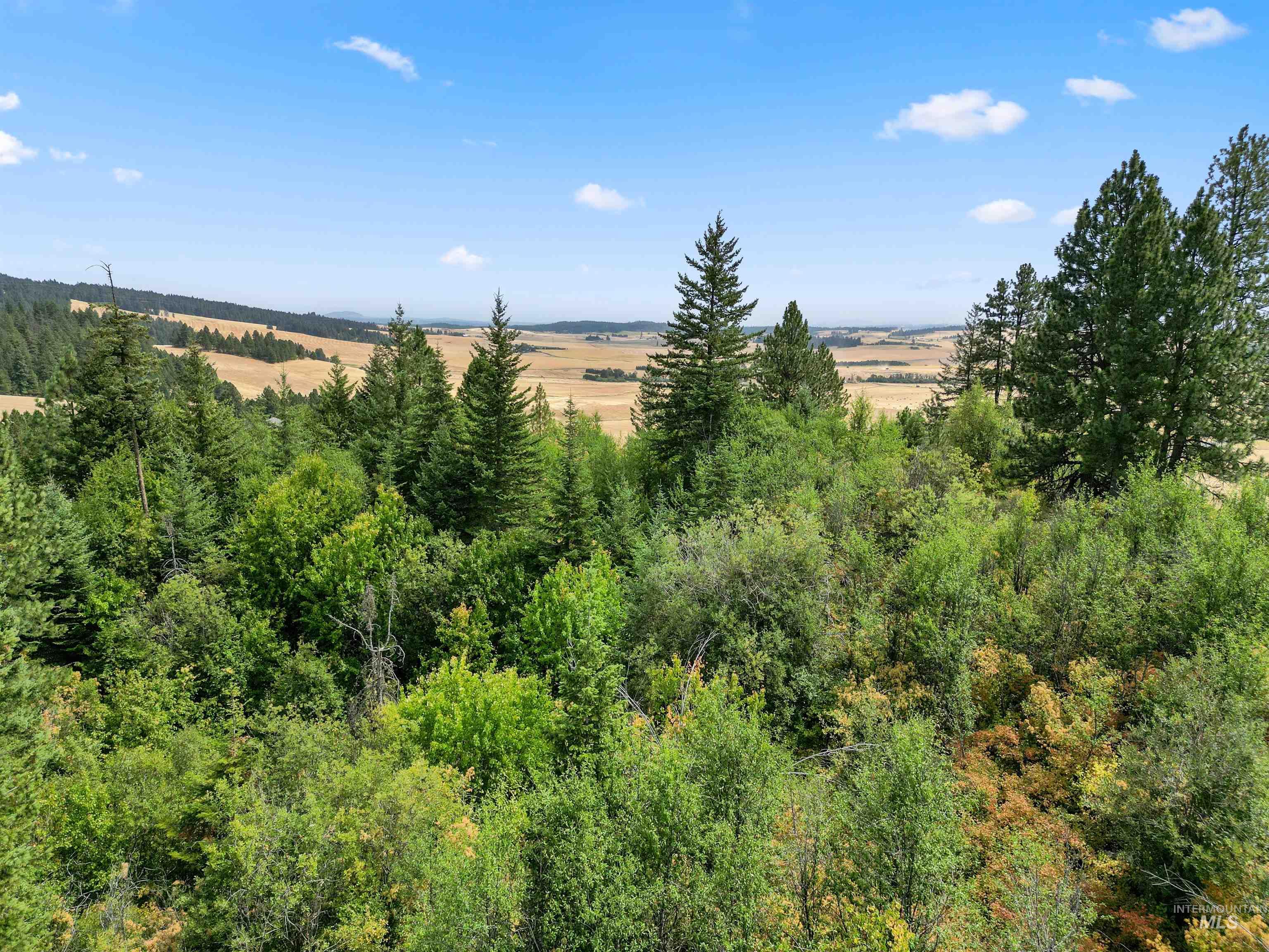 TBD Bluegrass Lane, Kendrick, Idaho 83537, Land For Sale, Price $325,000, 98886912