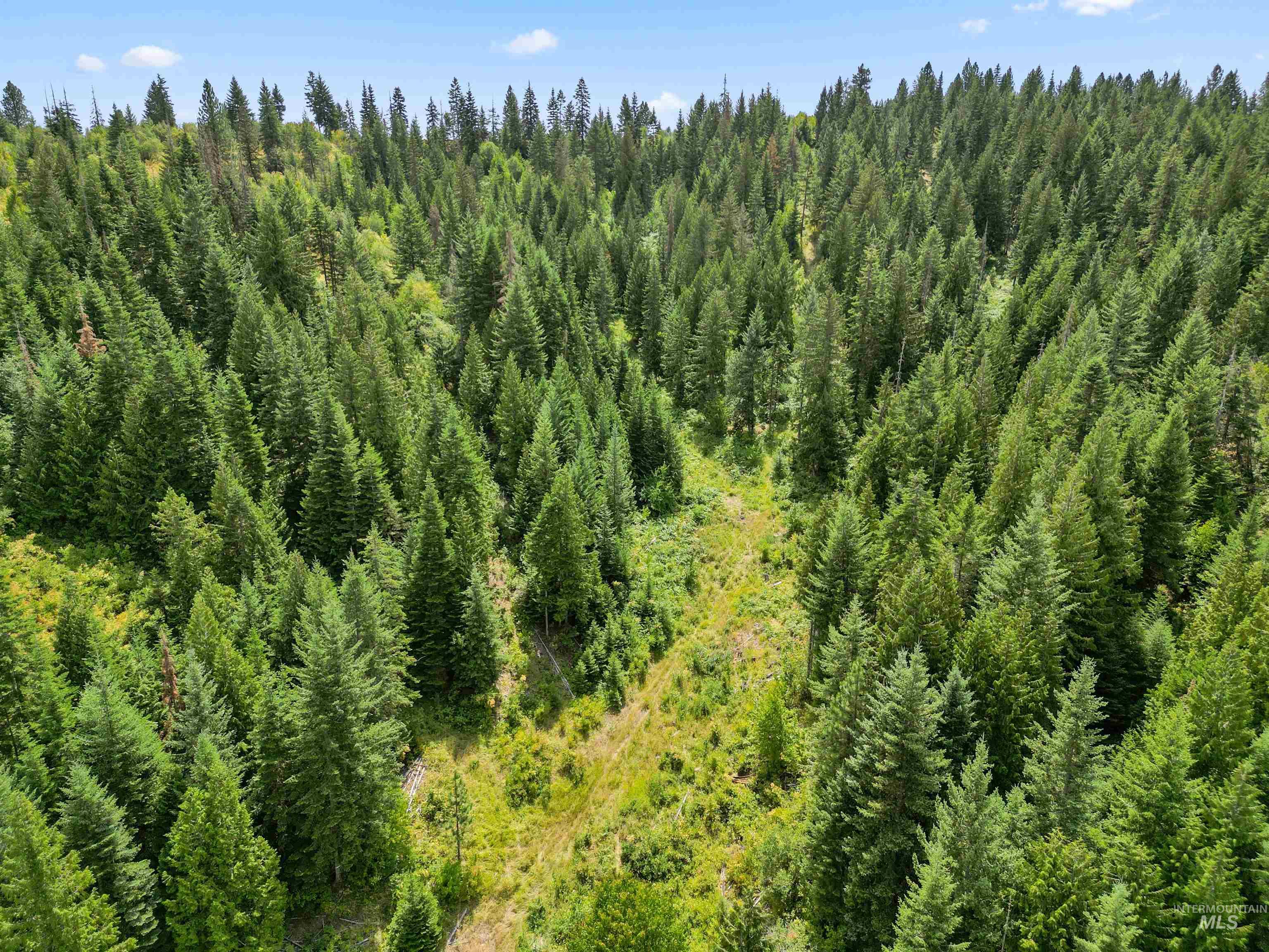 TBD Bluegrass Lane, Kendrick, Idaho 83537, Land For Sale, Price $325,000, 98886912