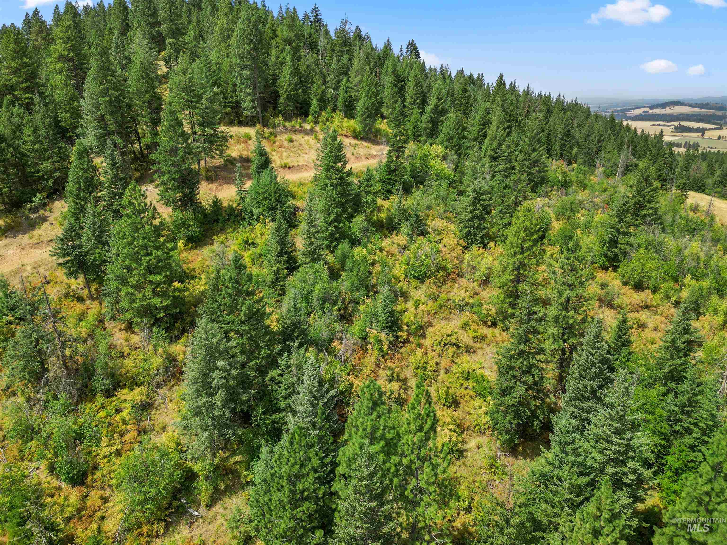 TBD Bluegrass Lane, Kendrick, Idaho 83537, Land For Sale, Price $325,000, 98886912