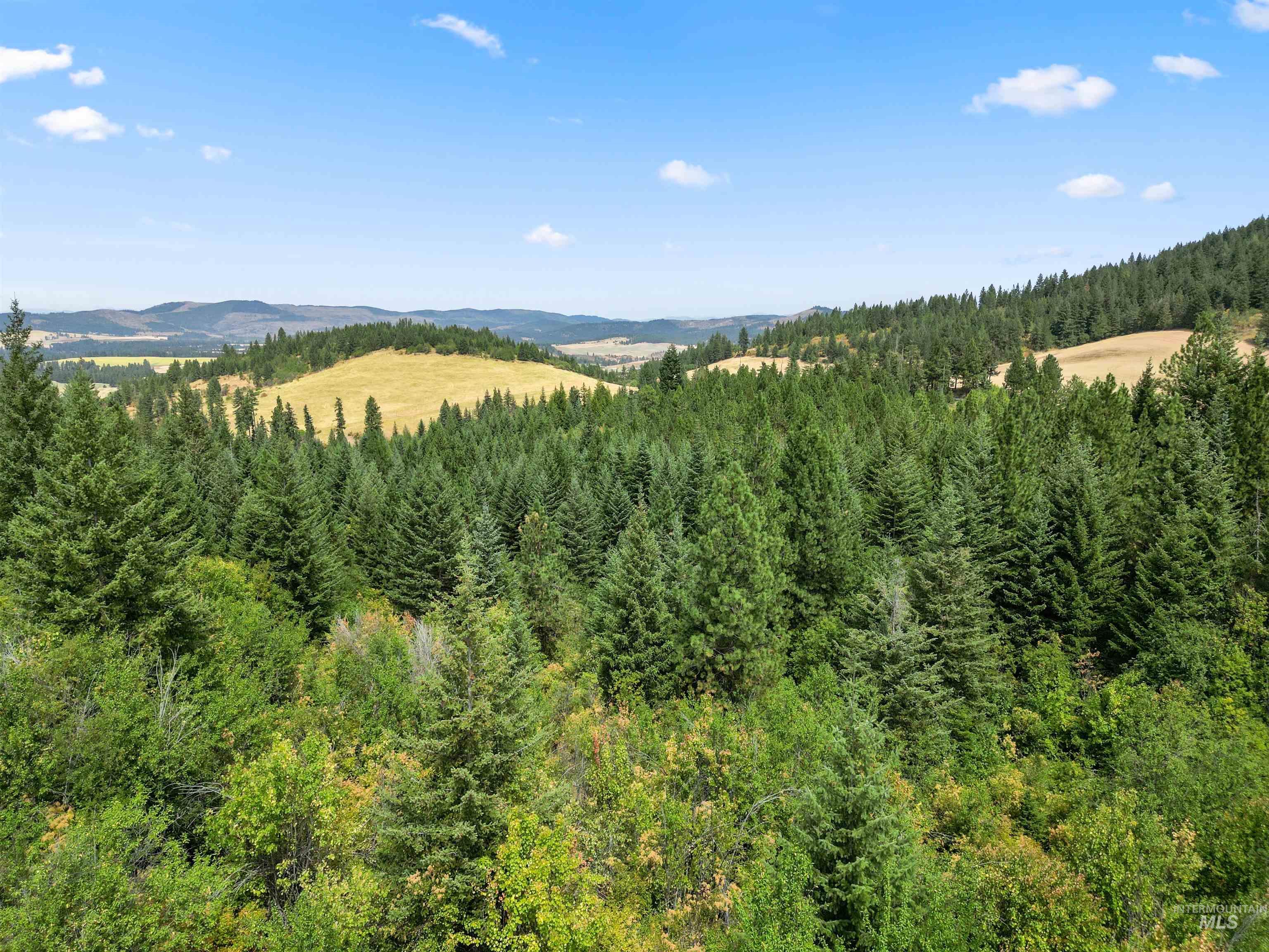 TBD Bluegrass Lane, Kendrick, Idaho 83537, Land For Sale, Price $375,000,MLS 98886912