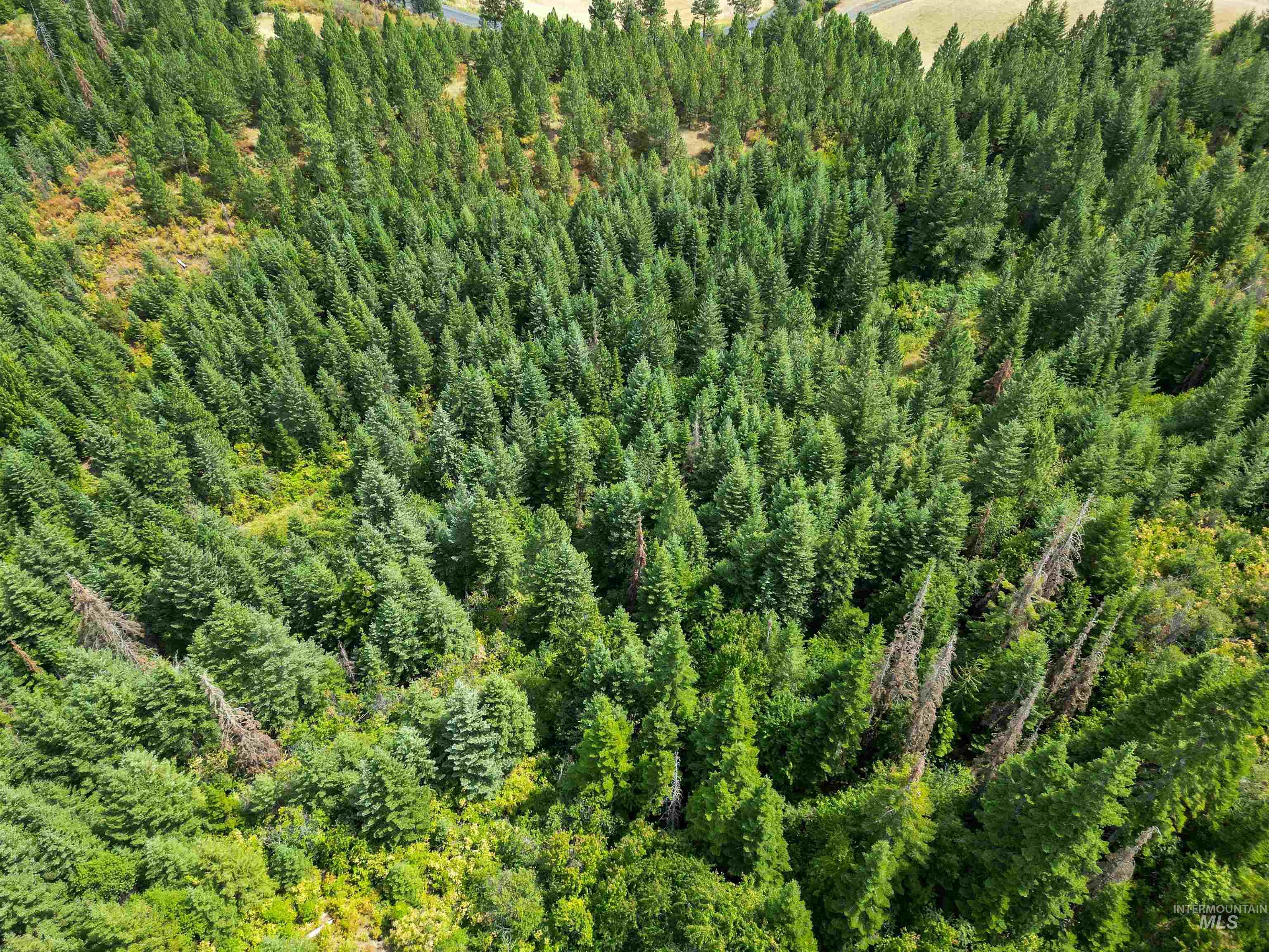 TBD Bluegrass Lane, Kendrick, Idaho 83537, Land For Sale, Price $325,000, 98886912