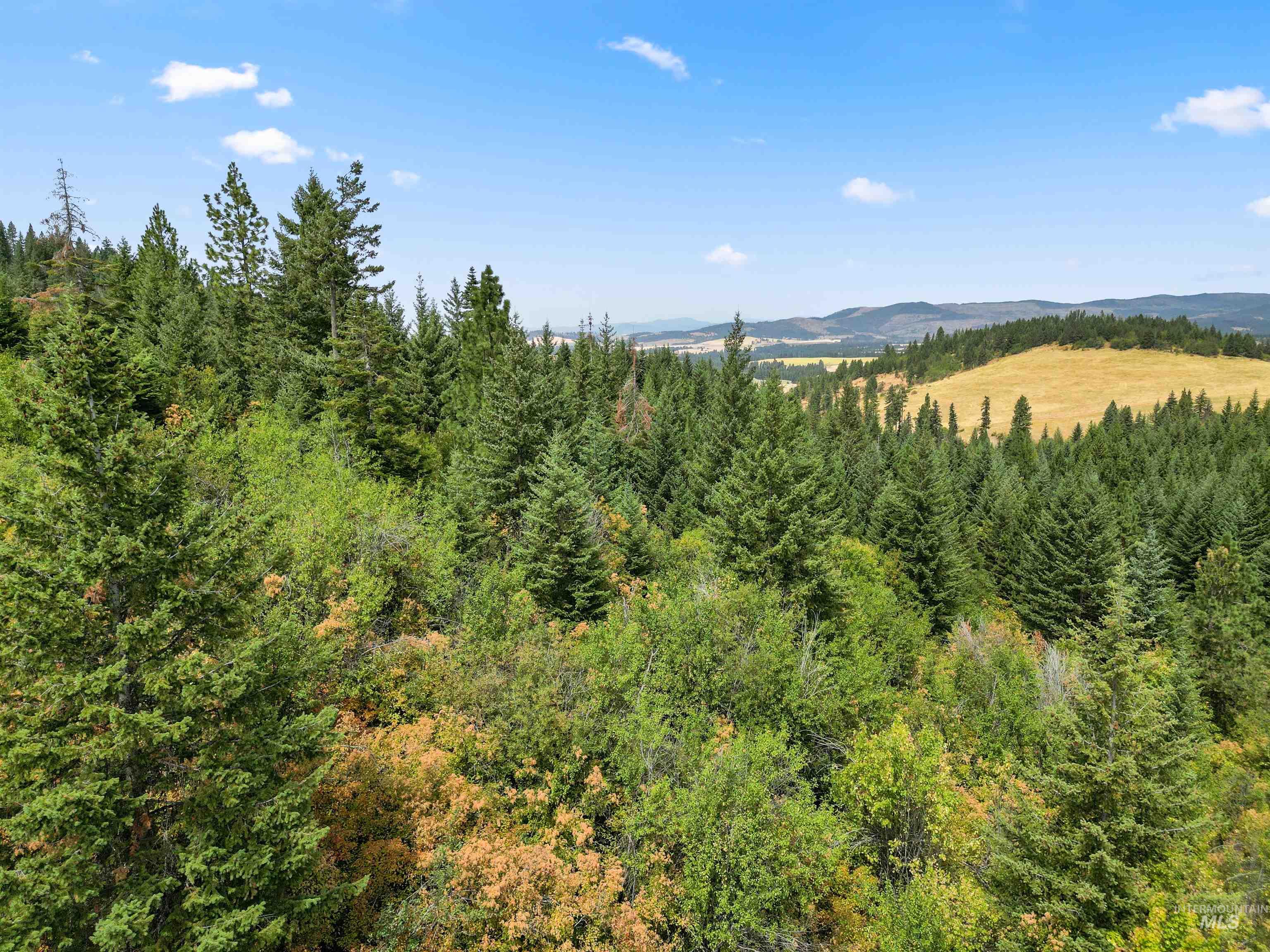 TBD Bluegrass Lane, Kendrick, Idaho 83537, Land For Sale, Price $325,000, 98886912