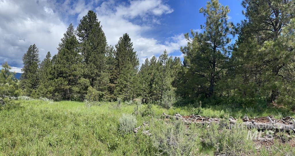 TBD Barker Lane, Donnelly, Idaho 83615, Land For Sale, Price $399,000, 98887039