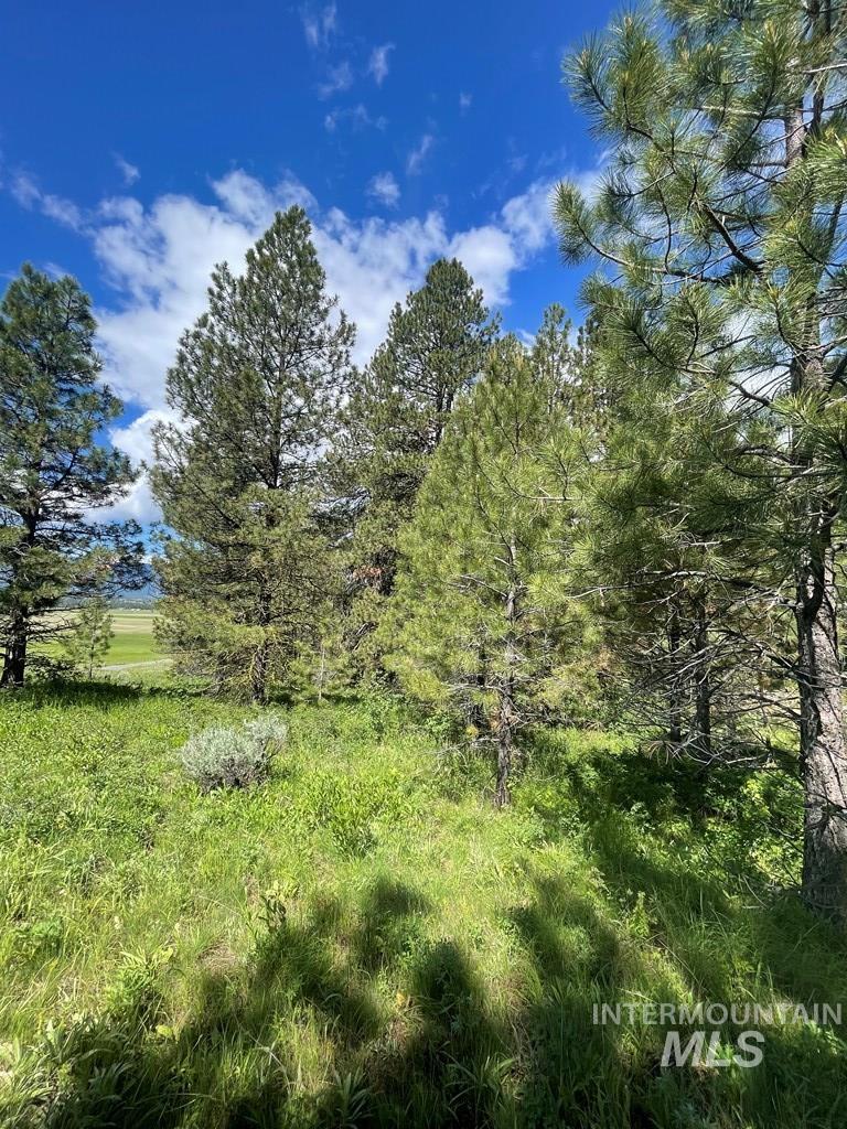 TBD Barker Lane, Donnelly, Idaho 83615, Land For Sale, Price $399,000, 98887039