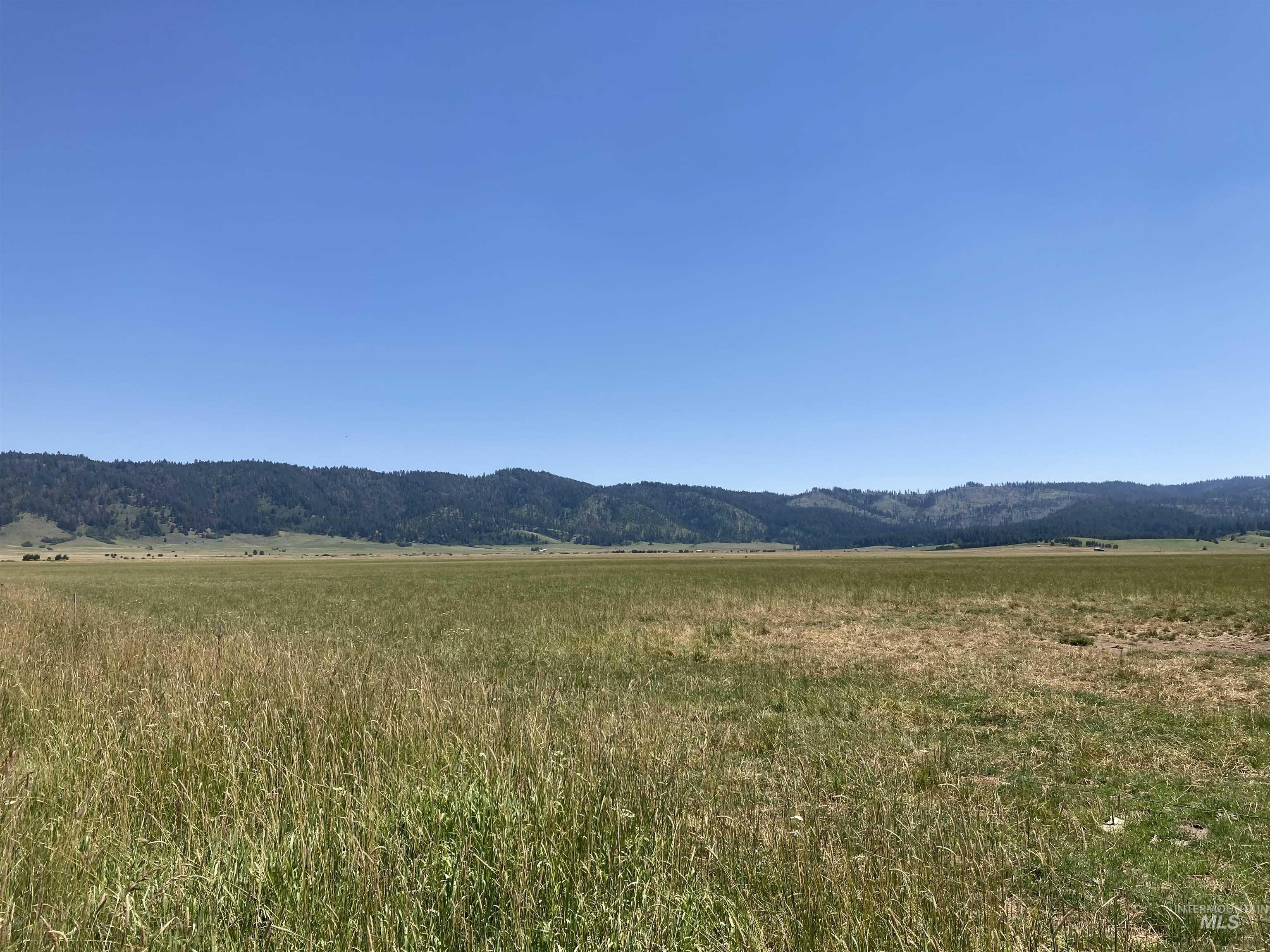 TBD Gray Ln, Cascade, Idaho 83611-0000, Land For Sale, Price $310,000, 98887099