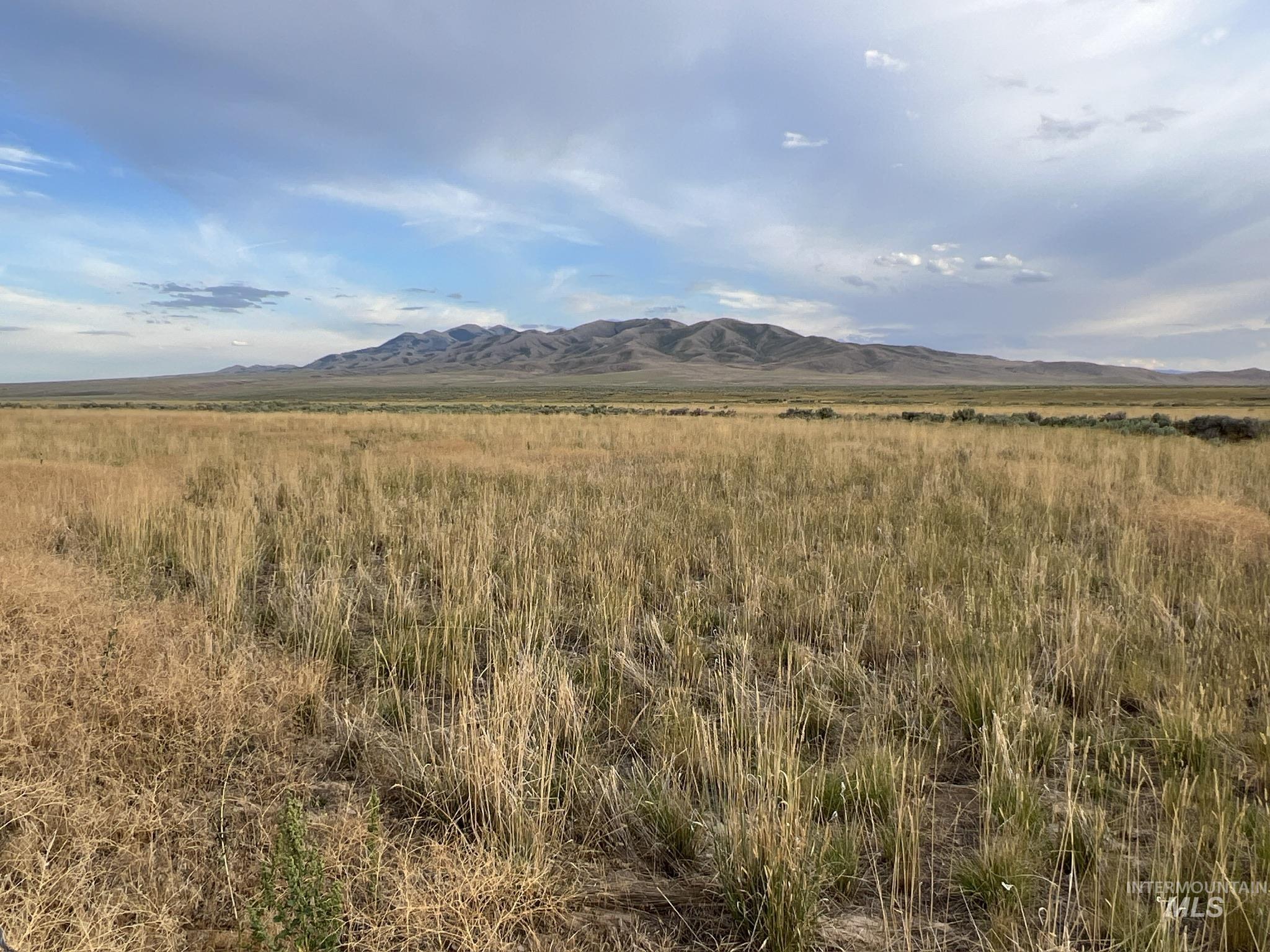 TBD Juniper Rd., Malta, Idaho 83342, Farm & Ranch For Sale, Price $1,326,000, 98887468