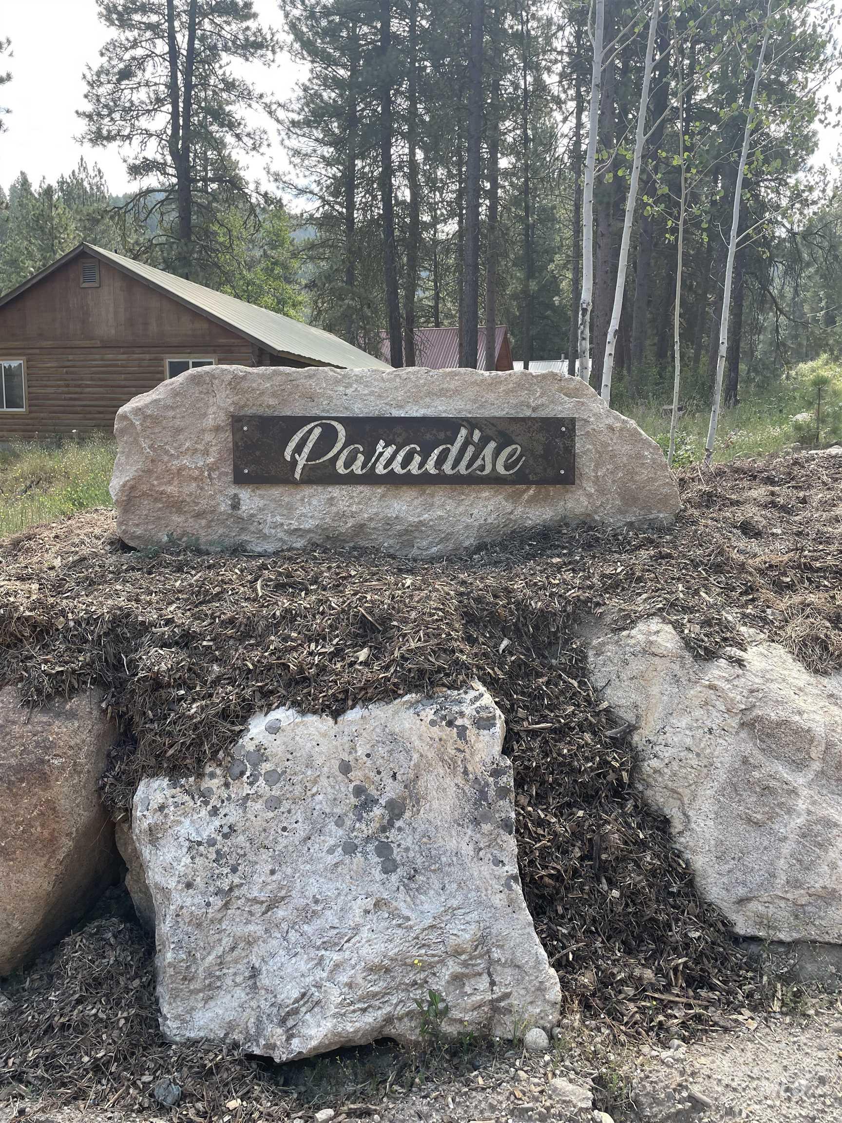 Lot 33 Block 1 Willis Carrie's Paradise Sub, Pine, Idaho 83647, Land For Sale, Price $250,000,MLS 98887491